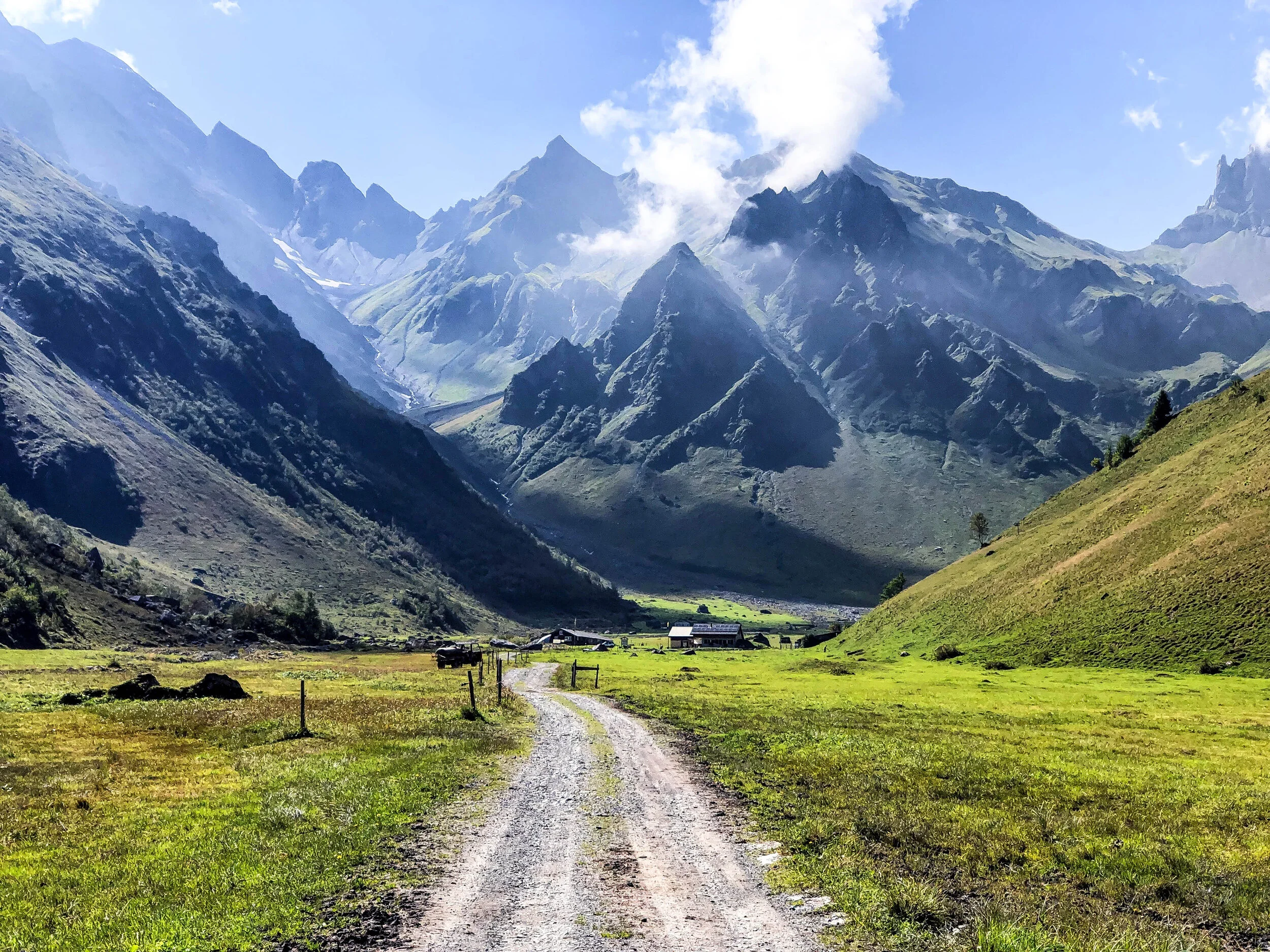 Surenenpass alp waldnacht.jpg