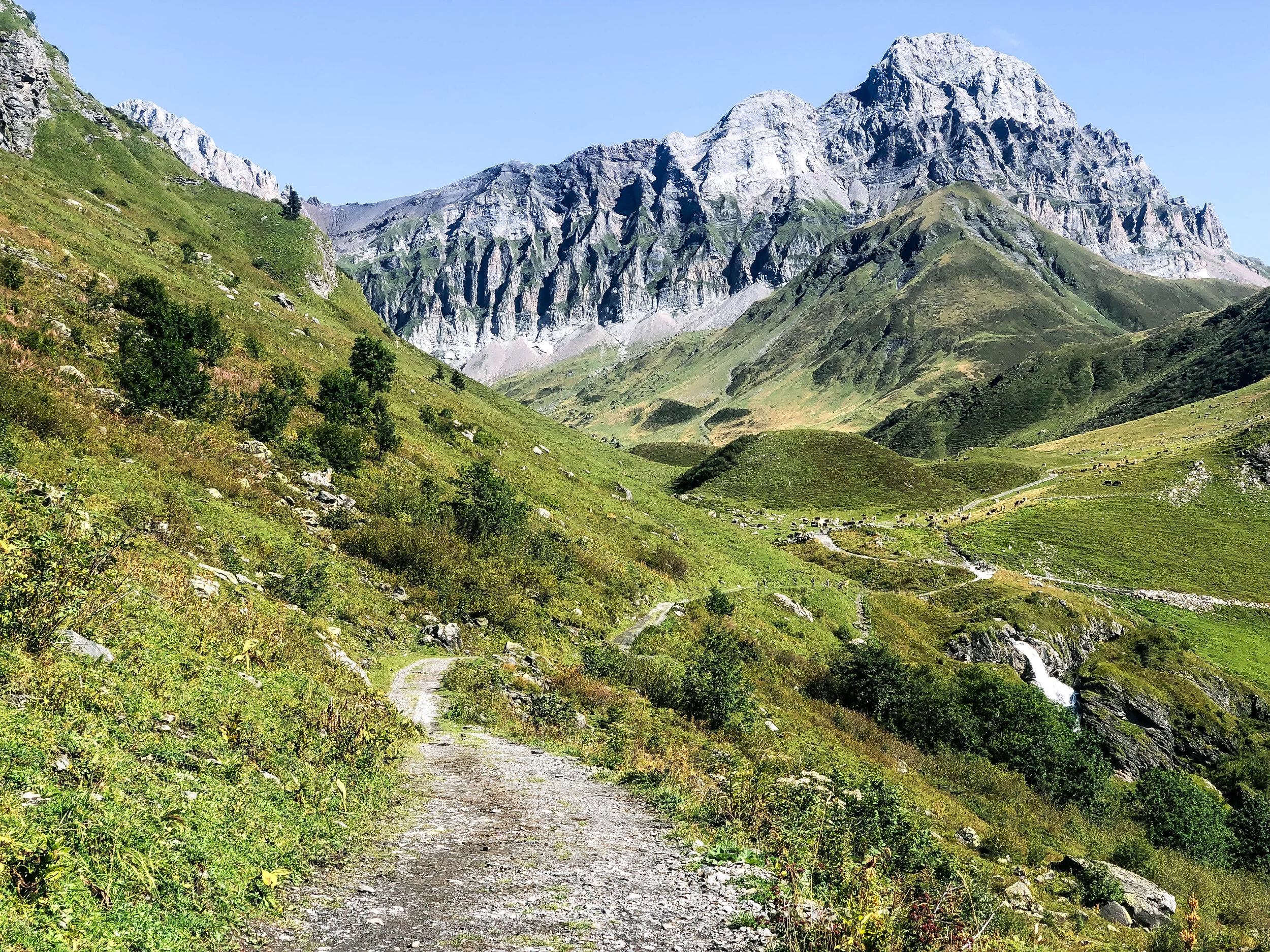 Surenenpass Stauber.jpg