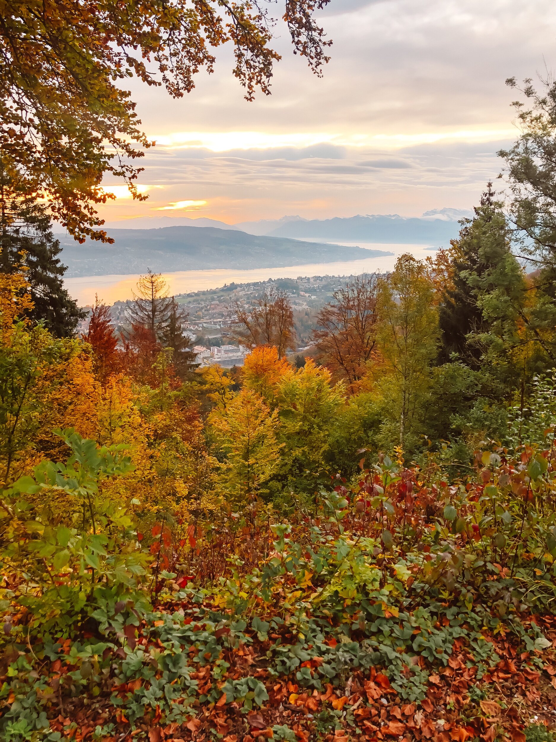 Uetliberg, Zurich, Fall