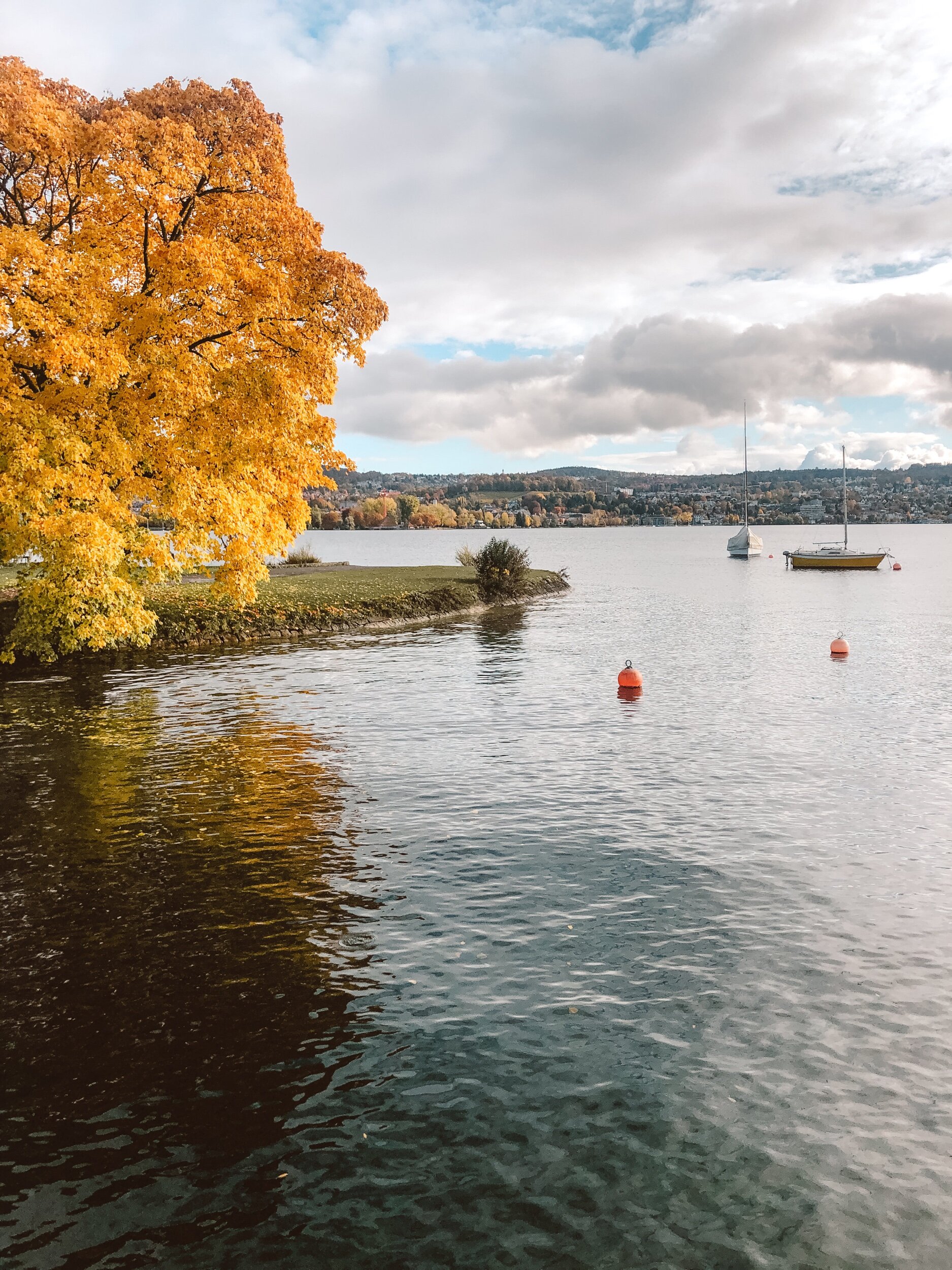 Wollishofen, Zurich in fall