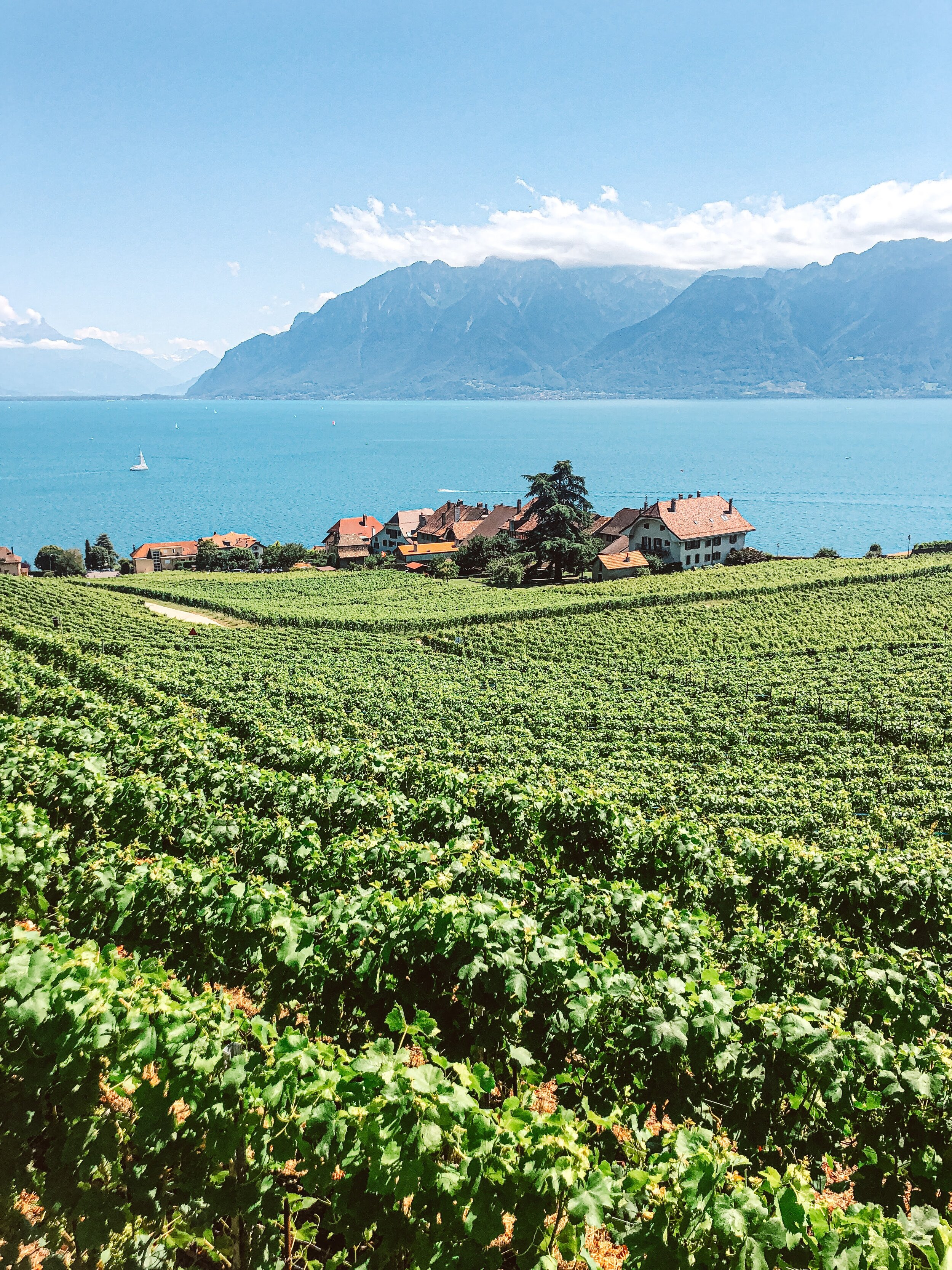 Lac Leman in Vaud, Lavuax, Switzerland