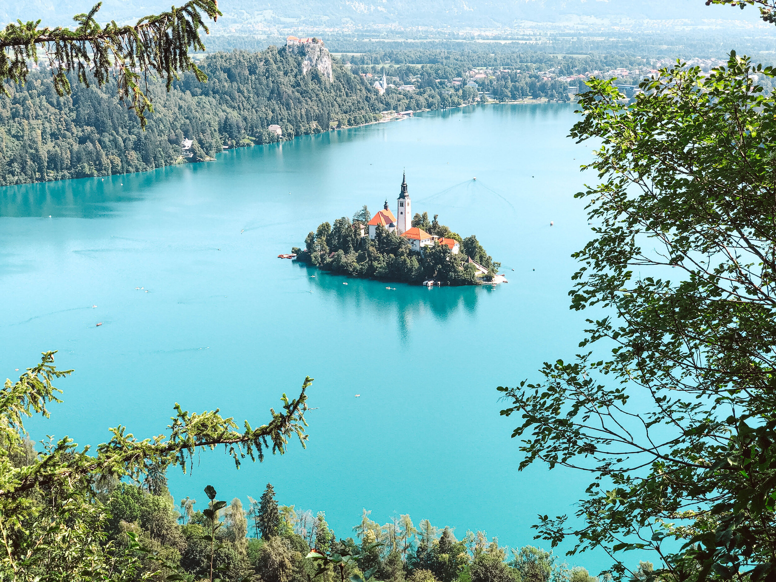 Slovenia Lake Bled from Mala Osojnica in summer.jpg