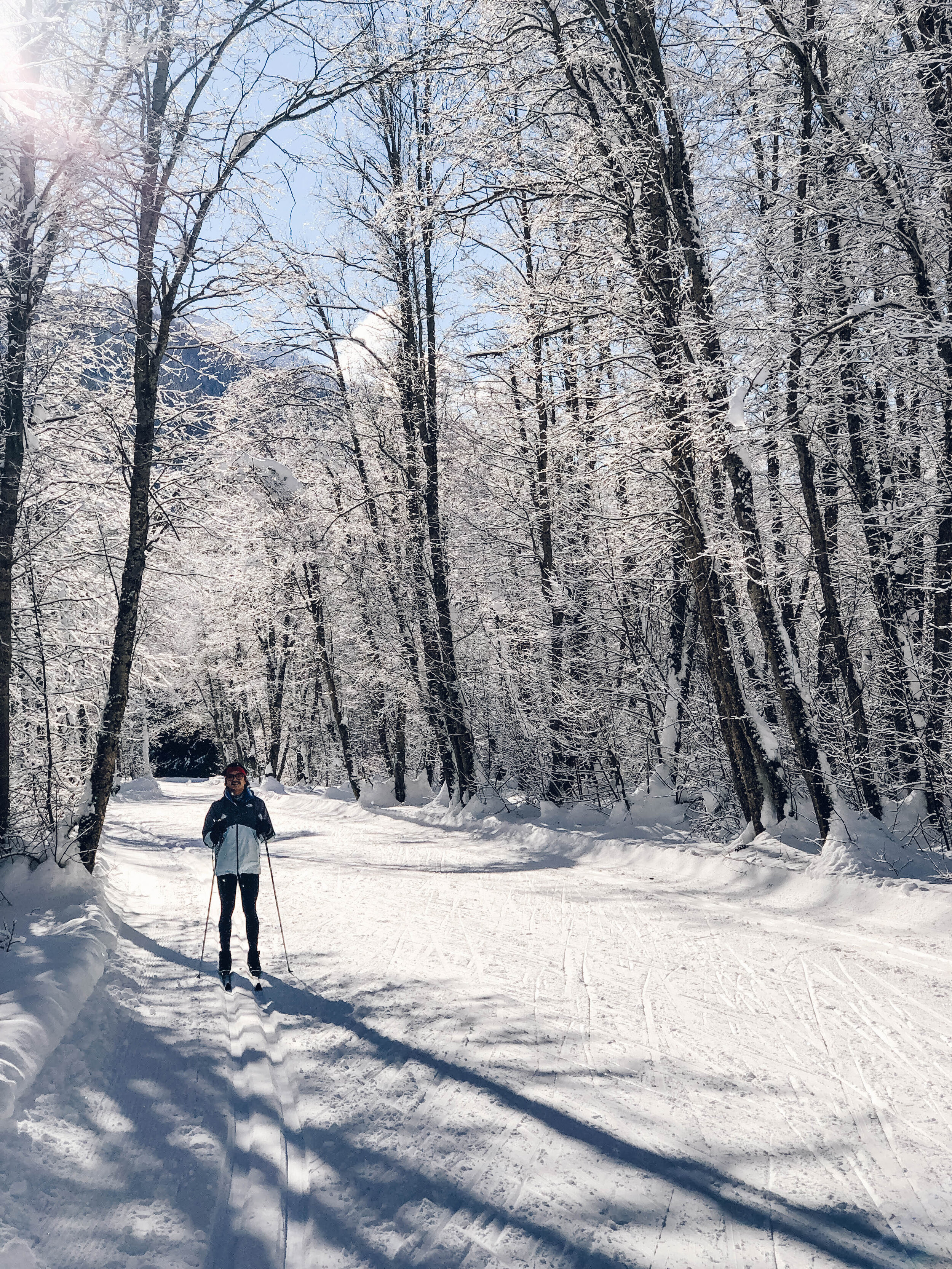 Cross-country skiing in Blitzingen, Goms, Switzerland