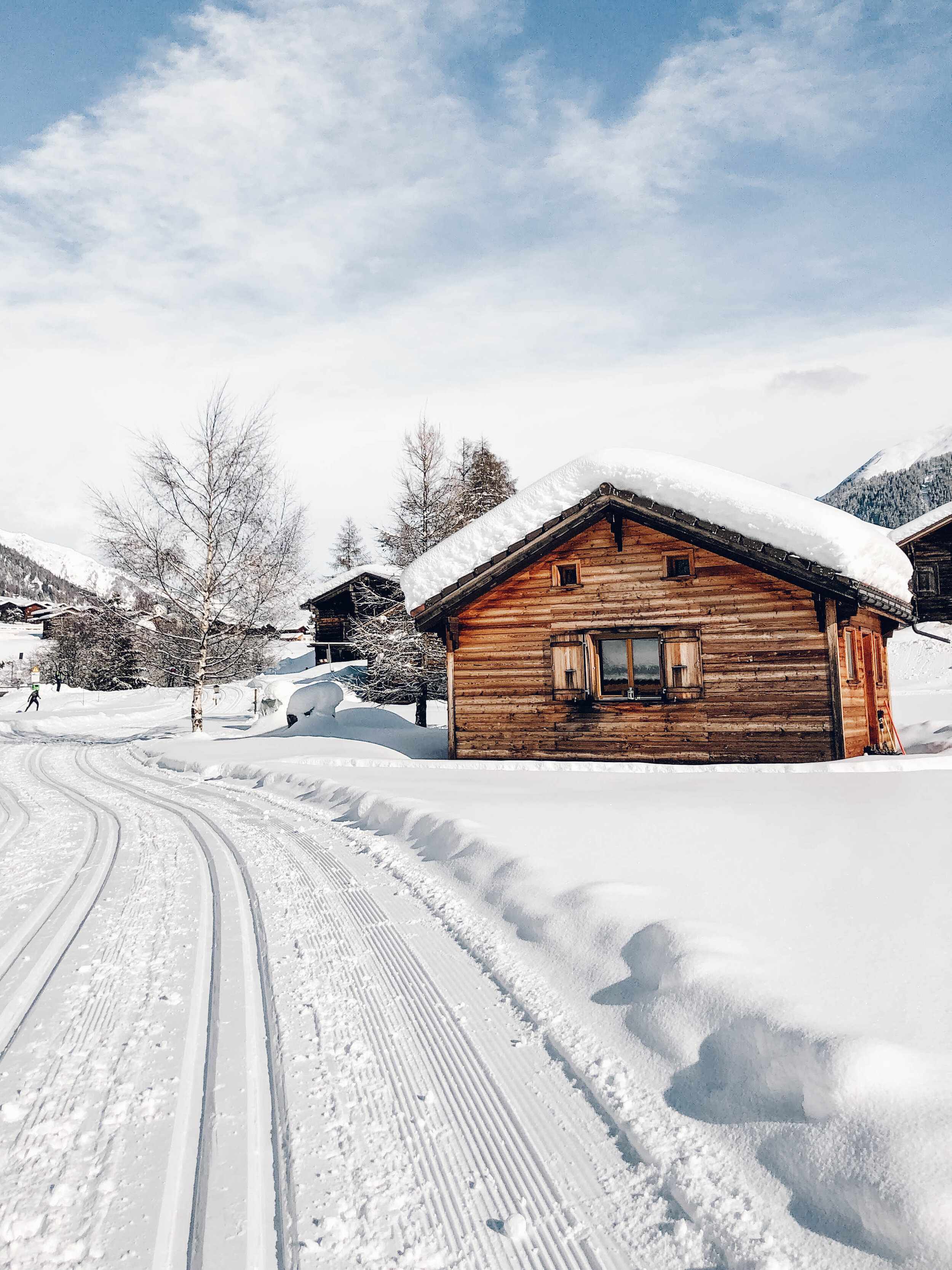 Cross-country skiing in Blitzingen, Goms, Switzerland