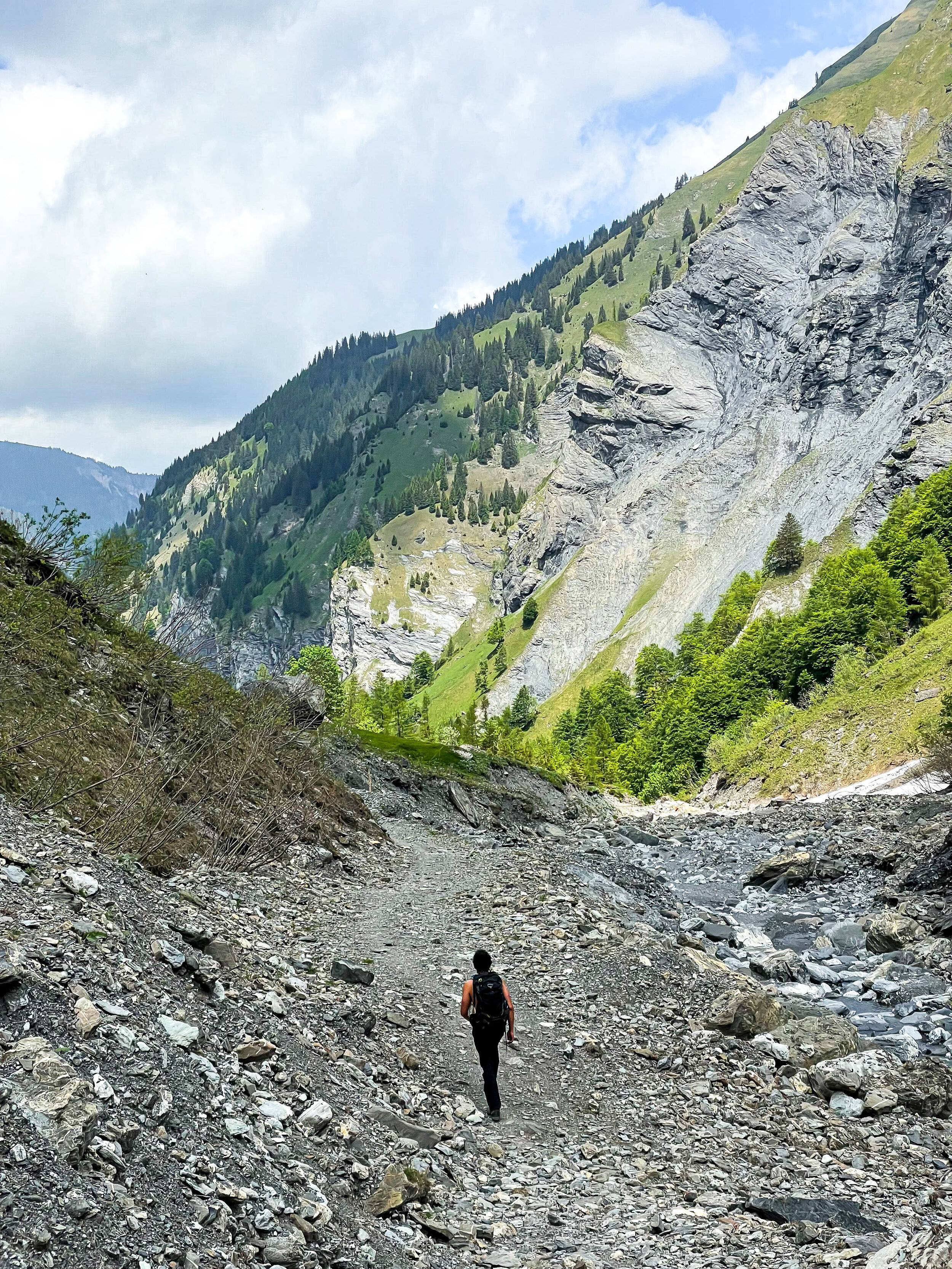 Batoni Raunaq in scree.jpg