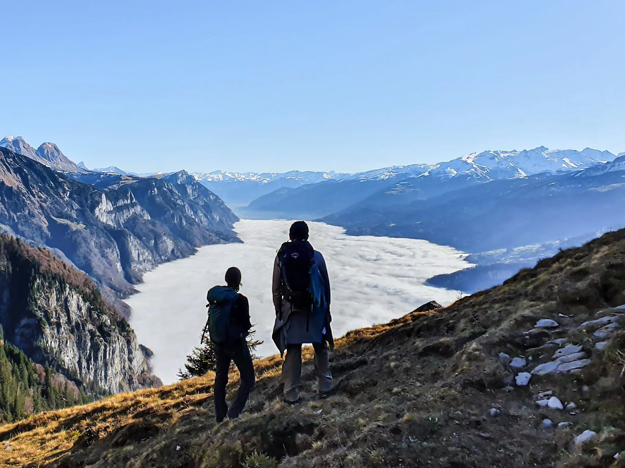 Alp Tschingla: St. Gallen, Eastern Switzerland