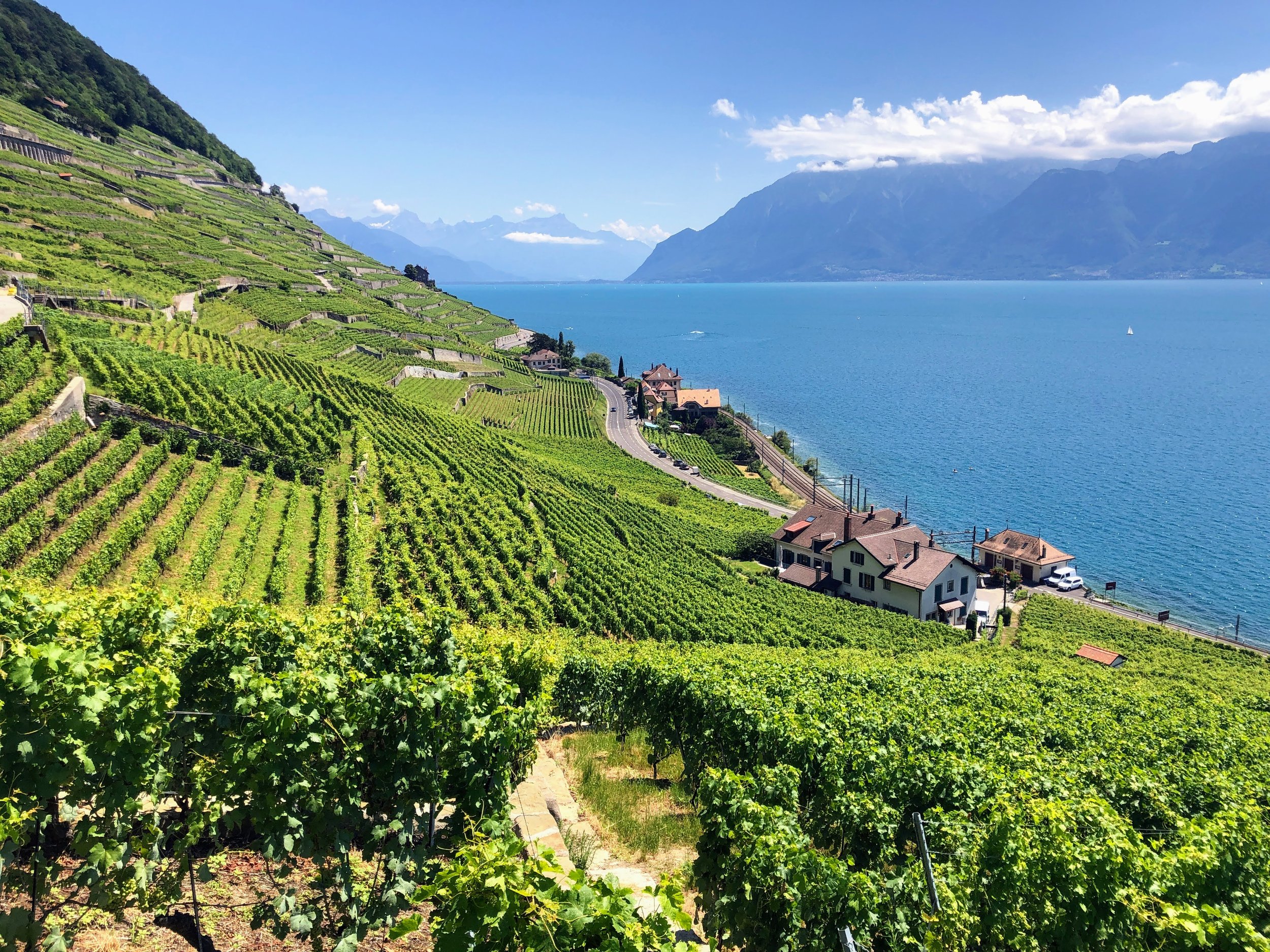 Lausanne to Vevey (Alpine Panorama Trail, Stage 24): Vaud, Western Switzerland