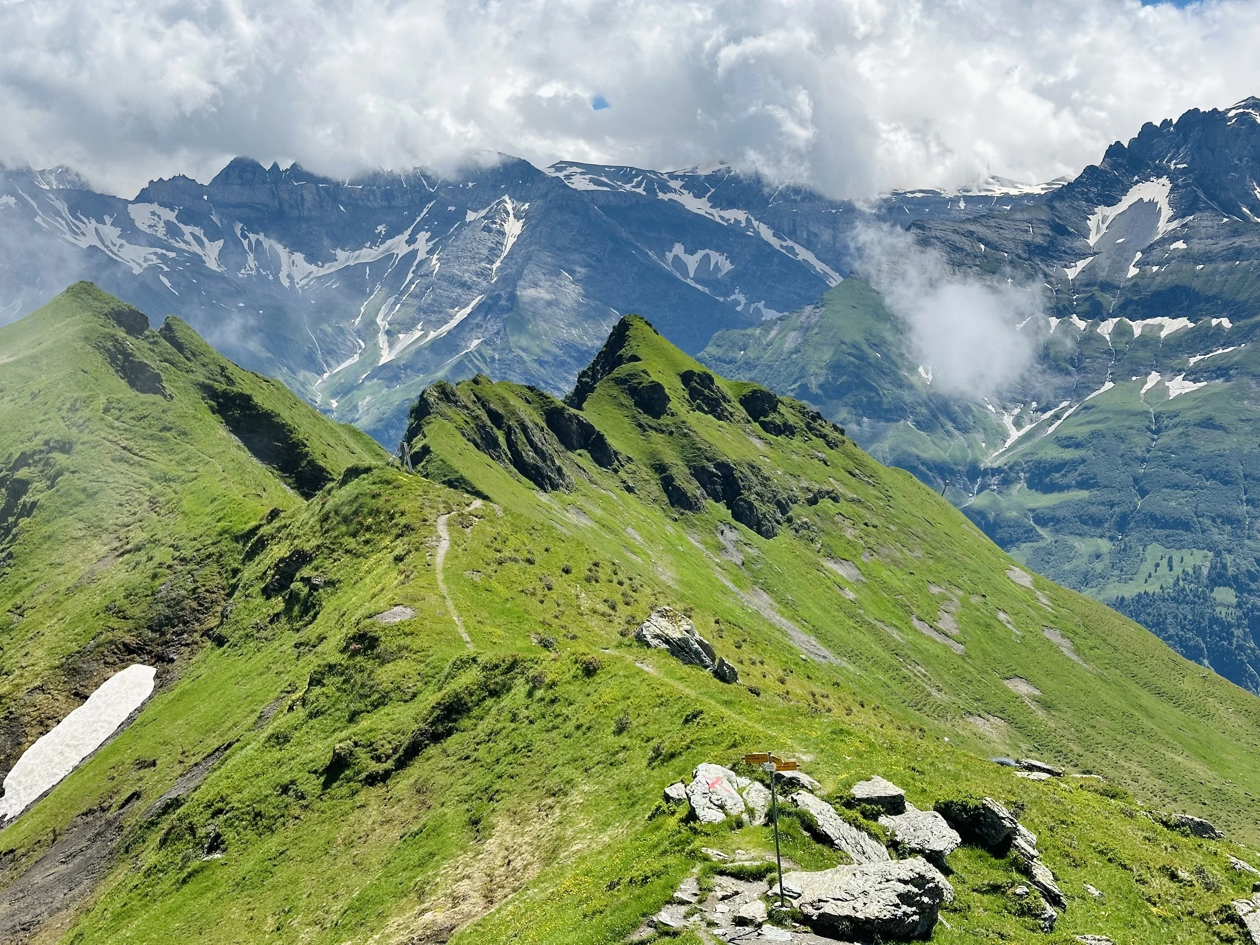 Summer Wanderweg: Favorite Hiking Trails of 2024