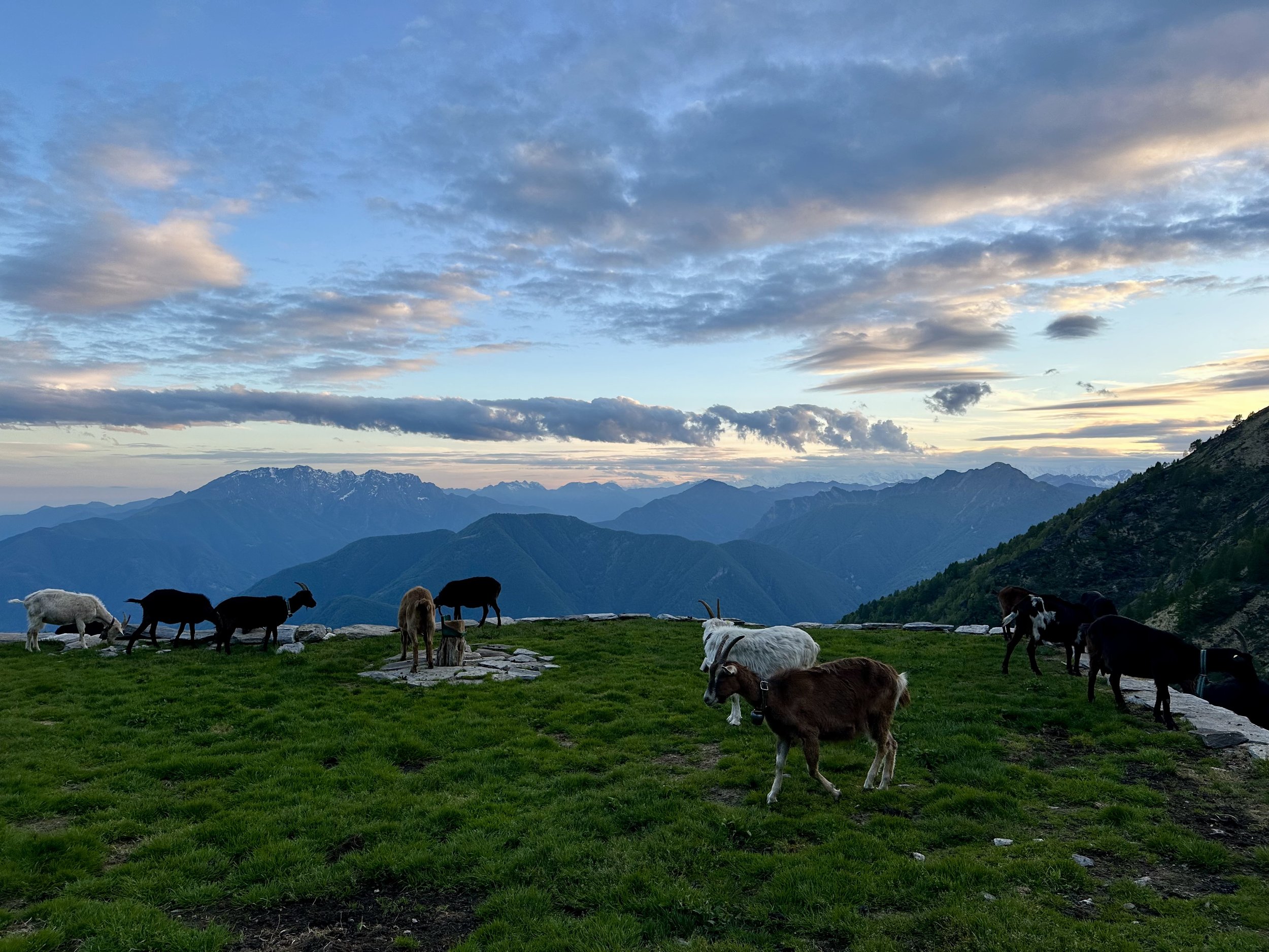 Capanna Nimi: Ticino