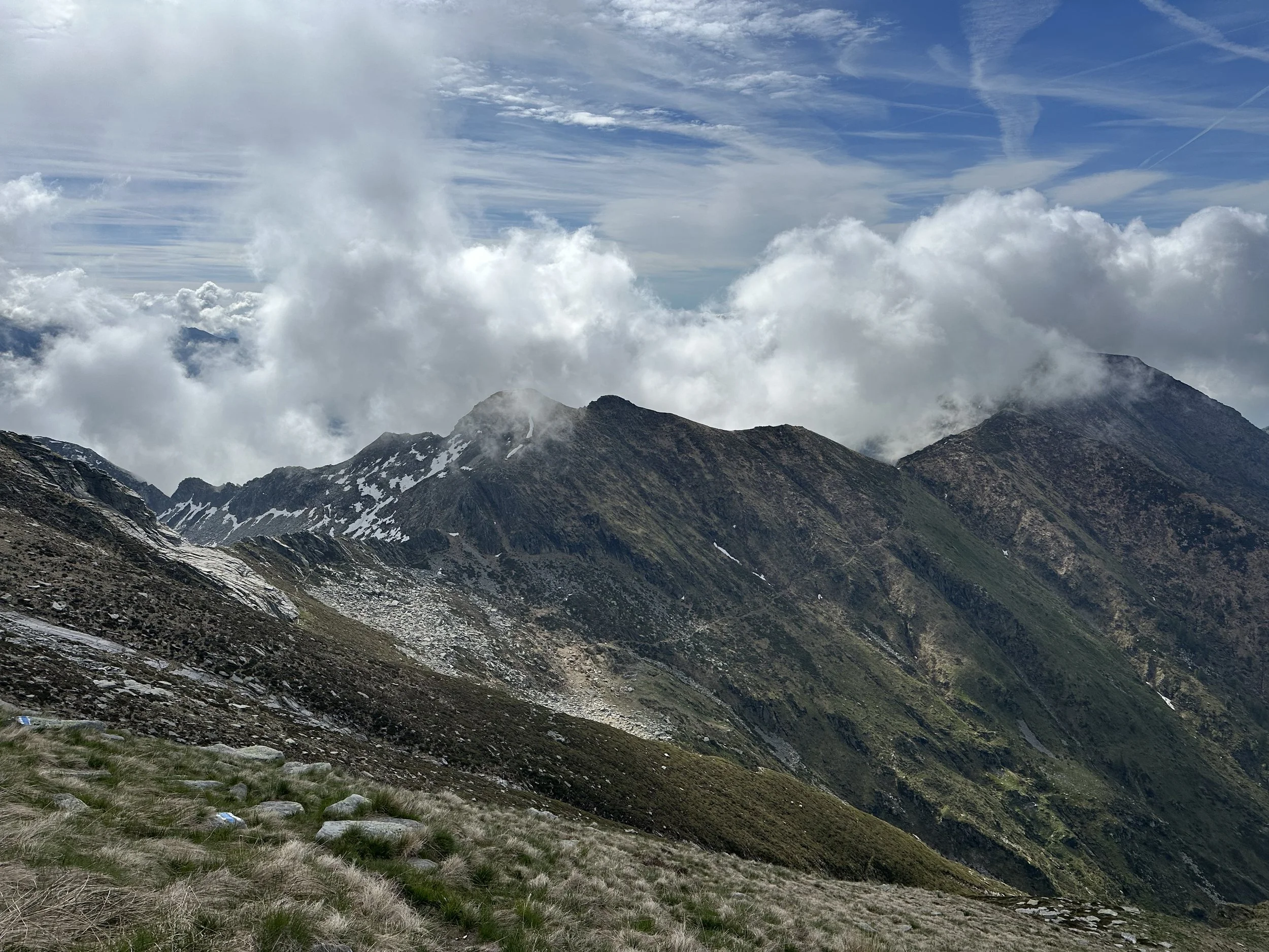 IMG_6800.jpeg