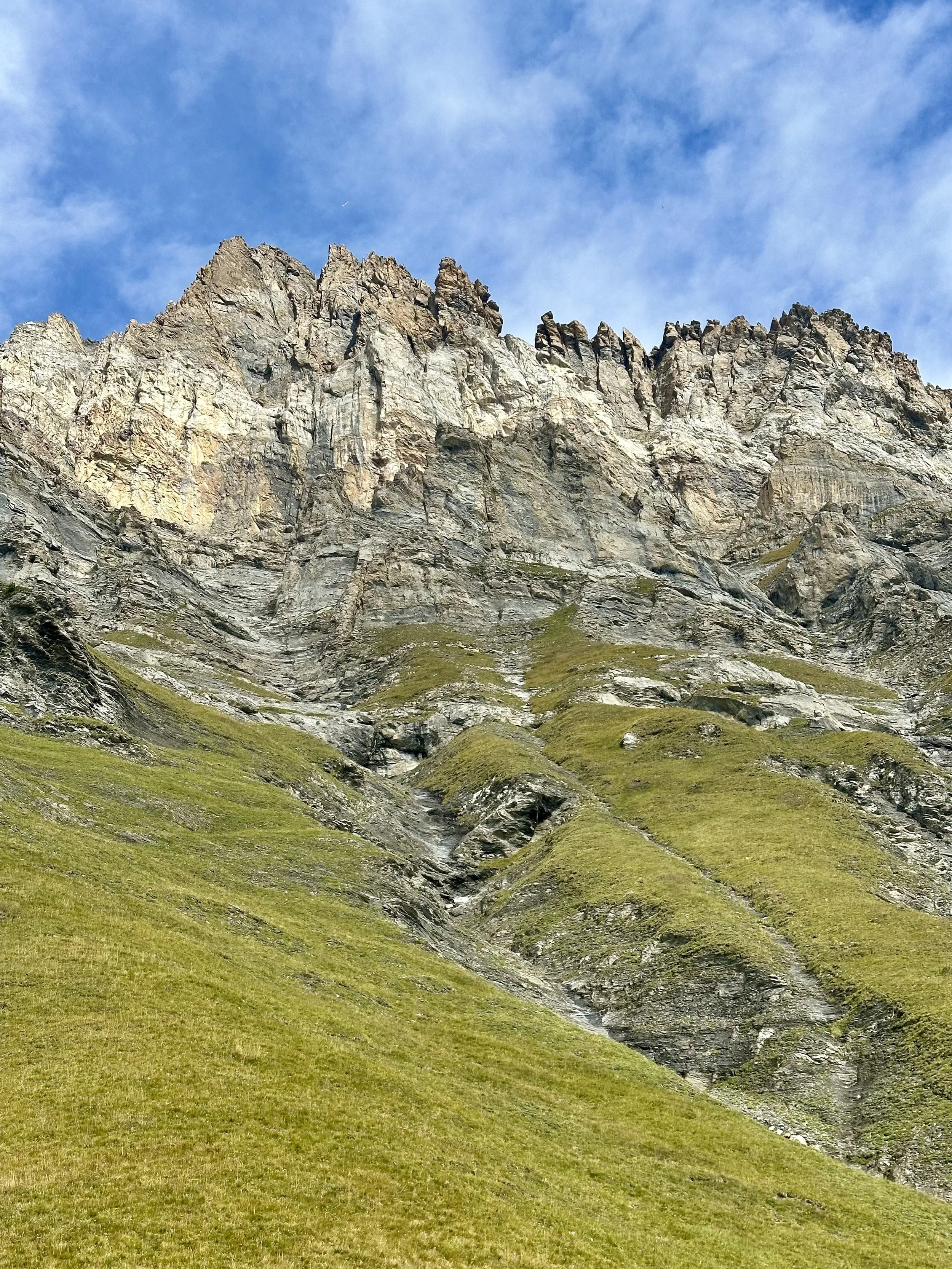 IMG_9594.jpeg