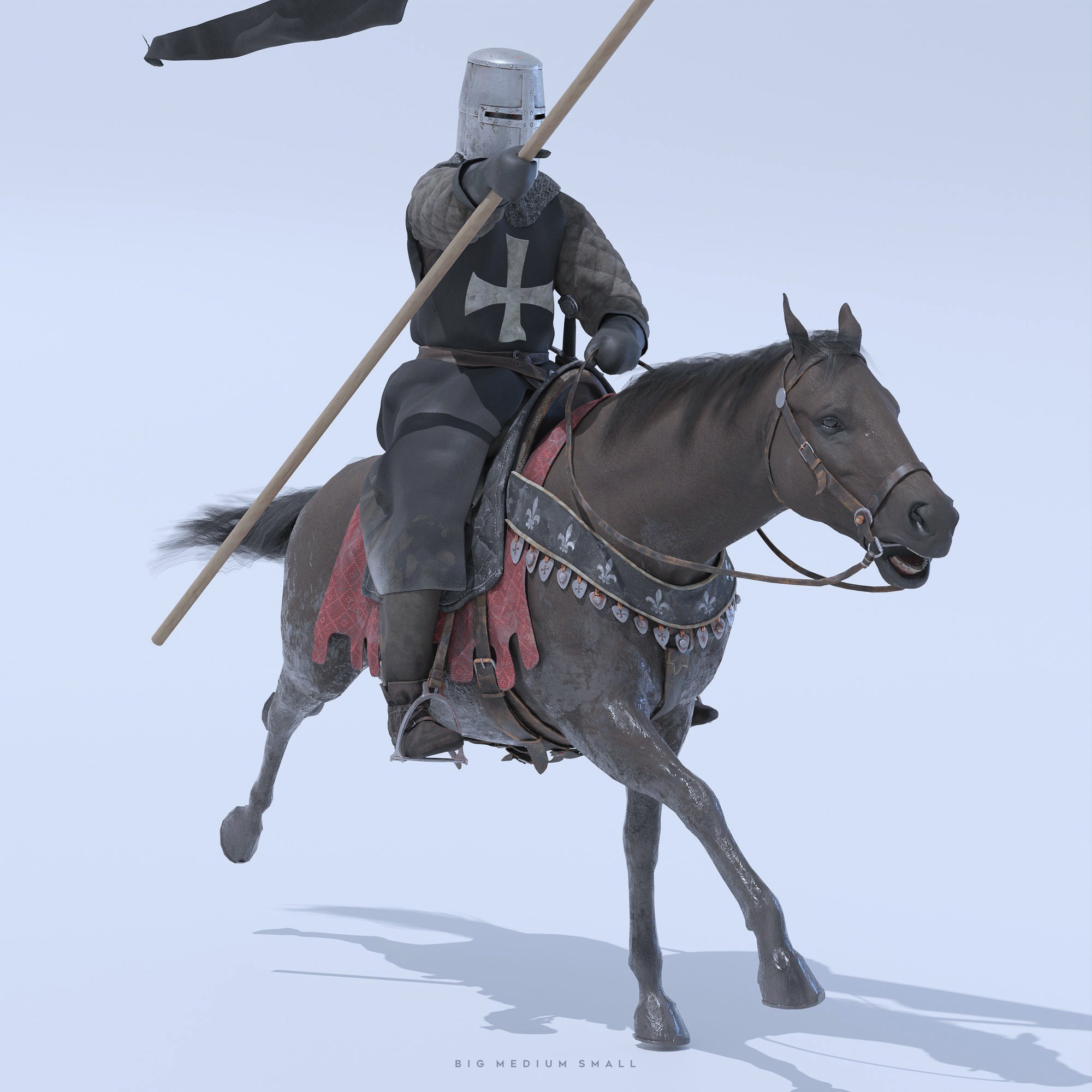 D3_Rider_Flag_02.jpg