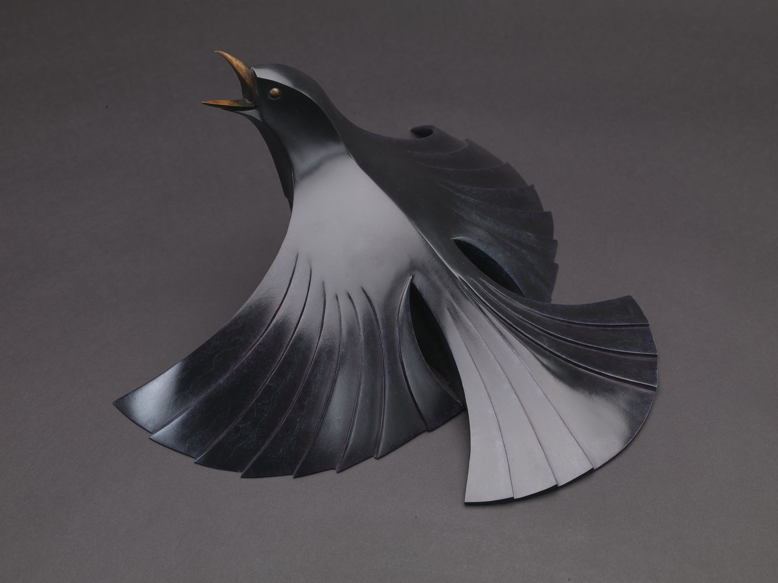 Blackbird   . Lifesize LE 6/12
