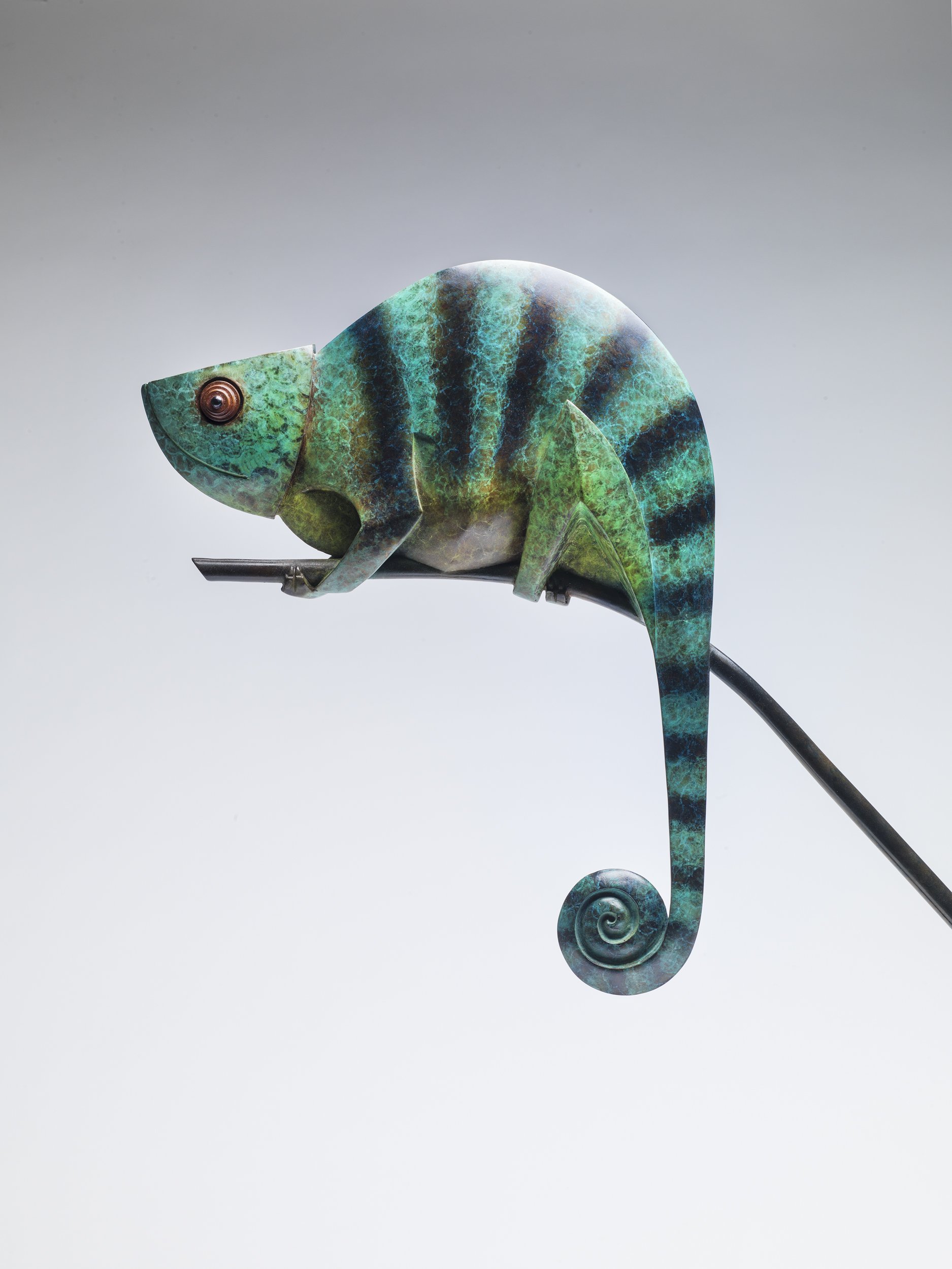 Chameleon bronze