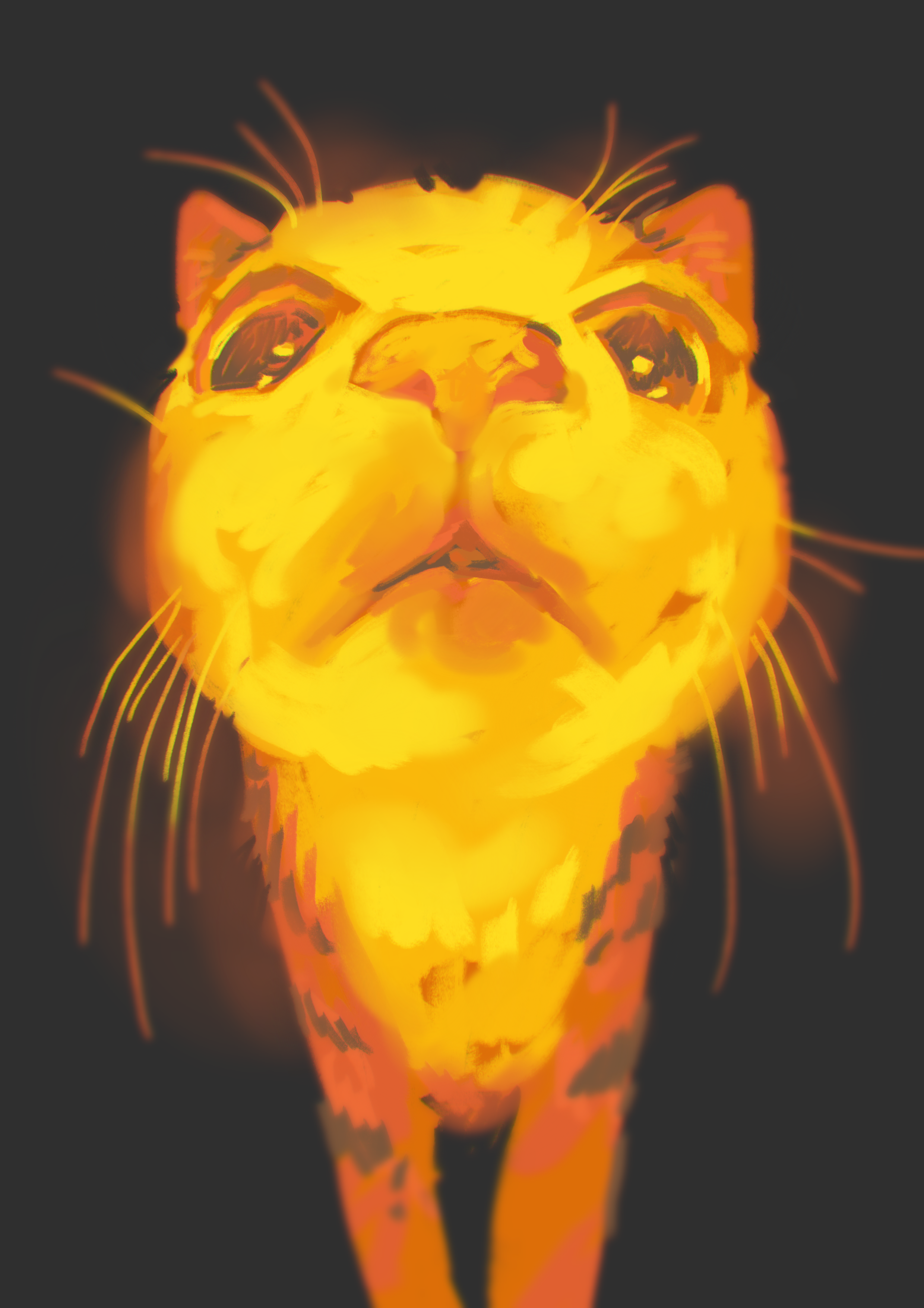 Cat - tabbycolours.png
