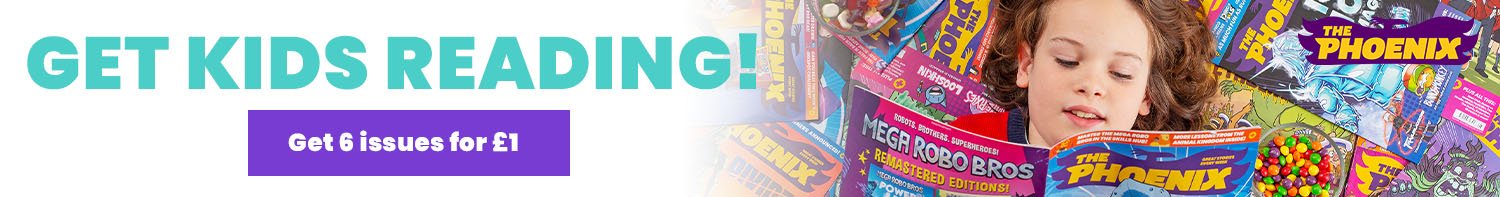 Web banner 2 copy- the pheonix.jpeg