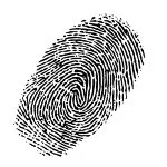 David Taylor - cartoonist