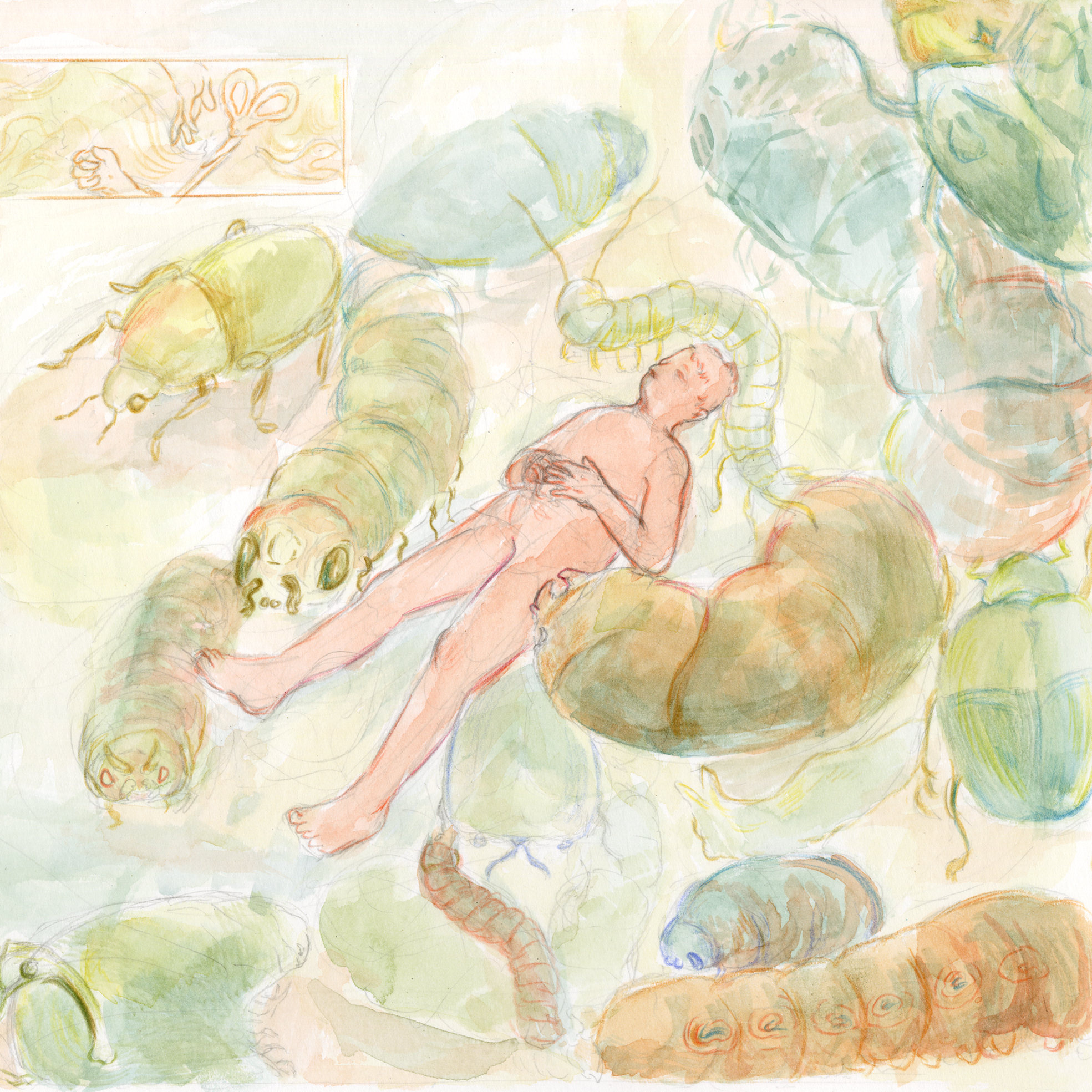 Noah Frear Illustration 