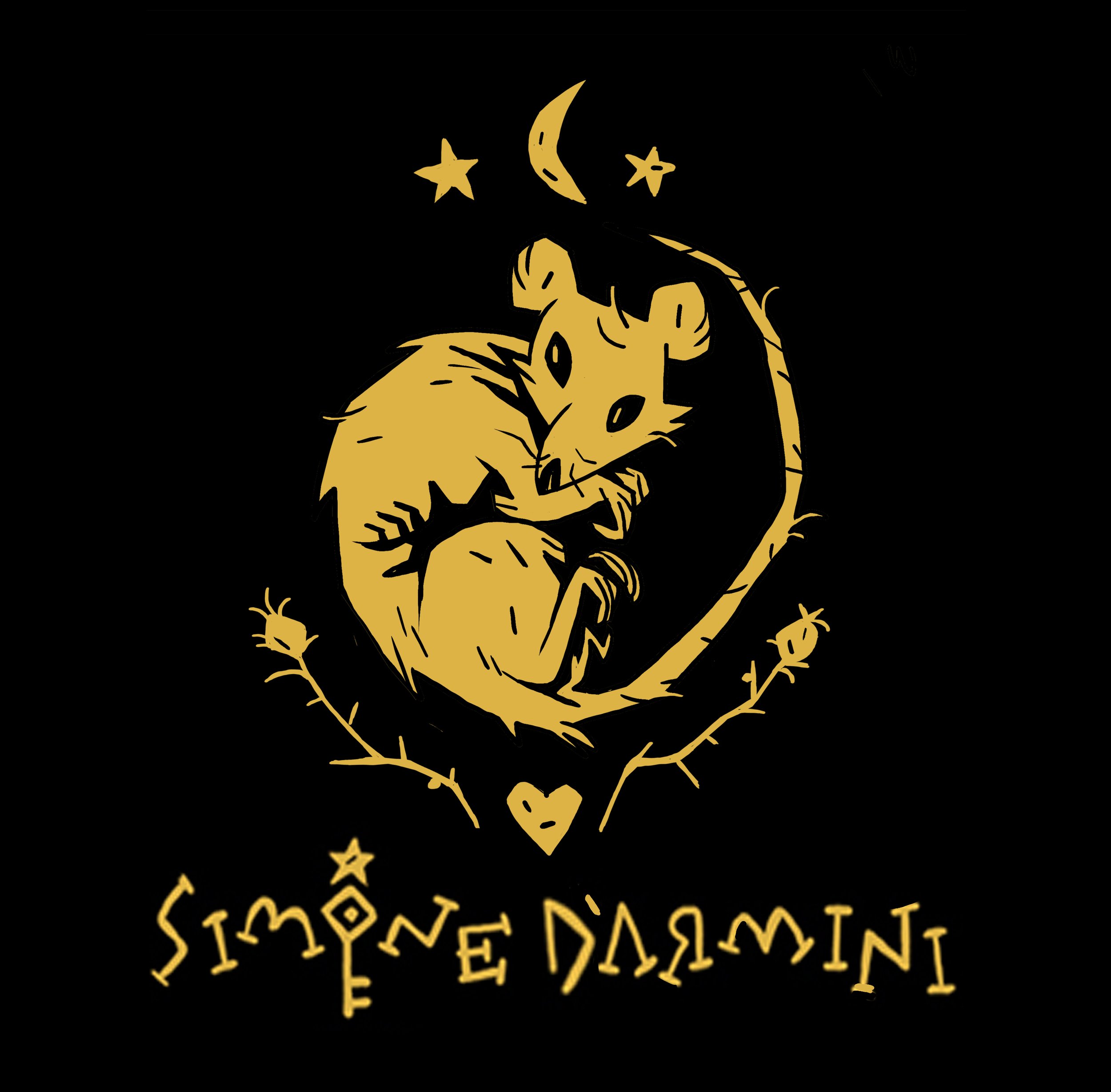 Simone D'Armini