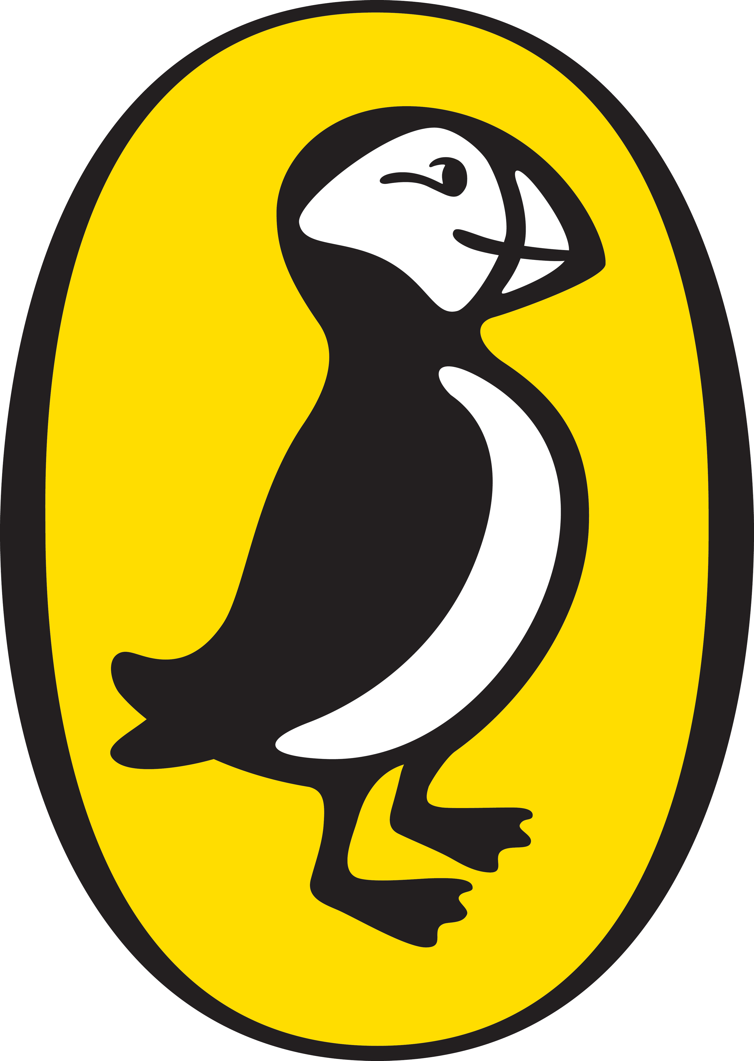 Puffin