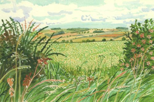 David Hockney - Gap in the Hedgrow