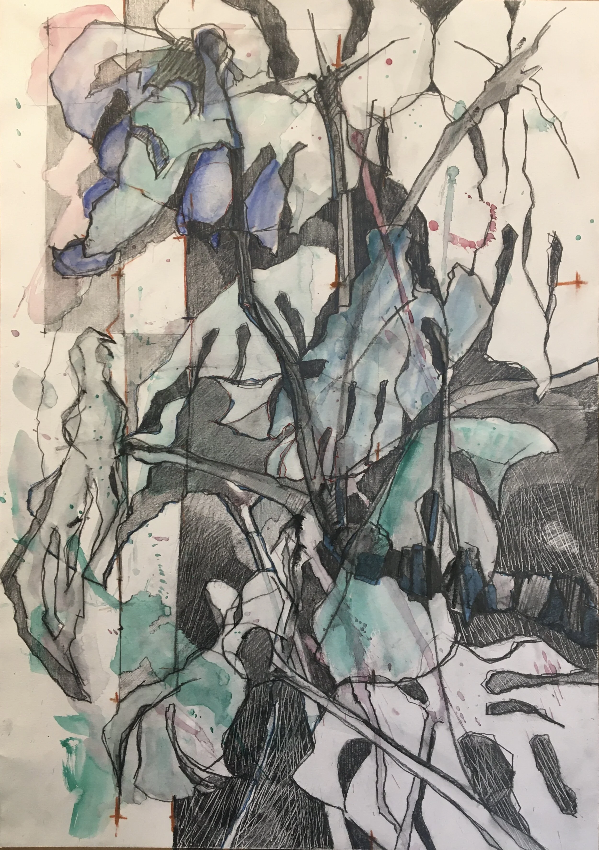Keith Price - Monstera