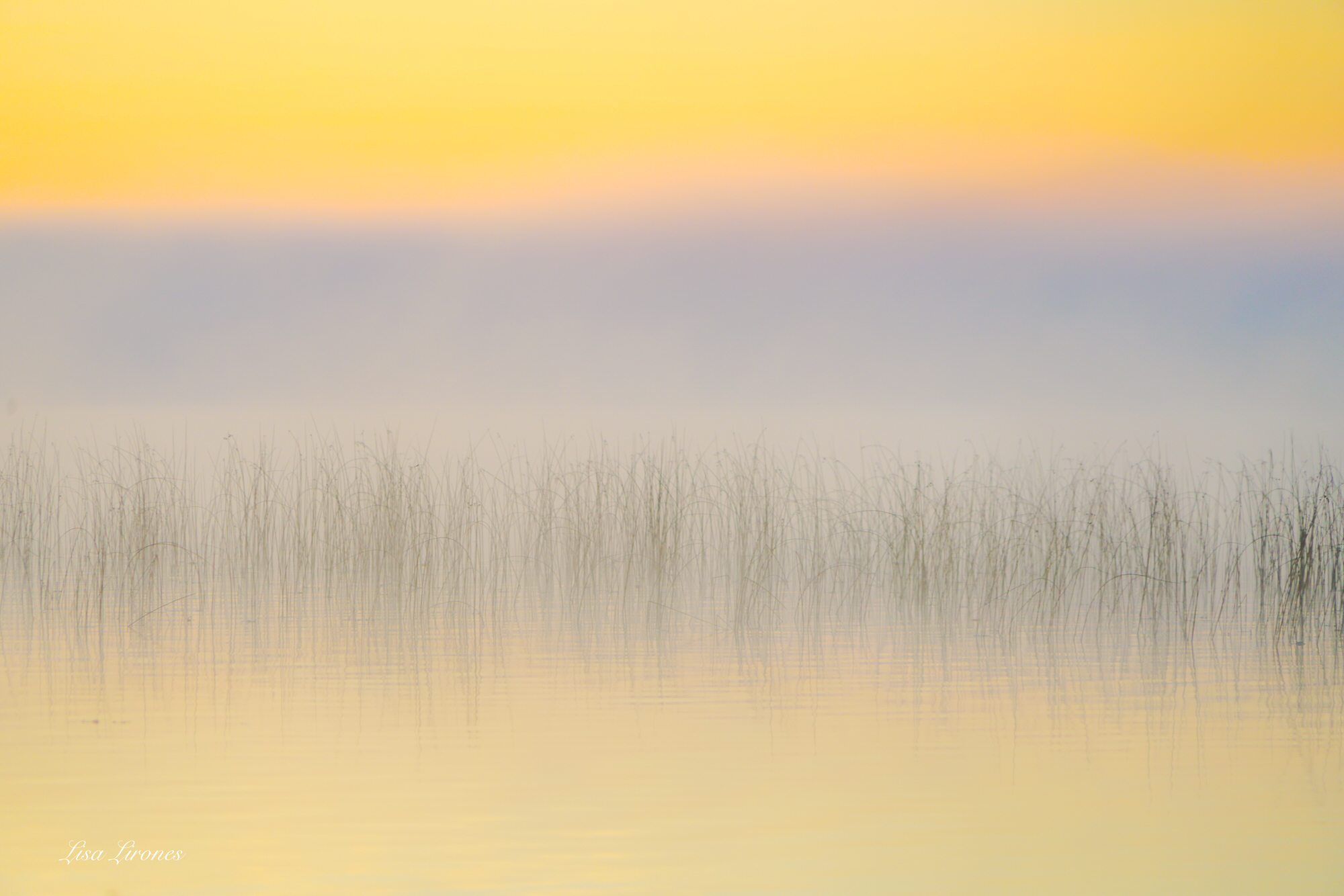 The Wooden Gallery Traverse City Gallery