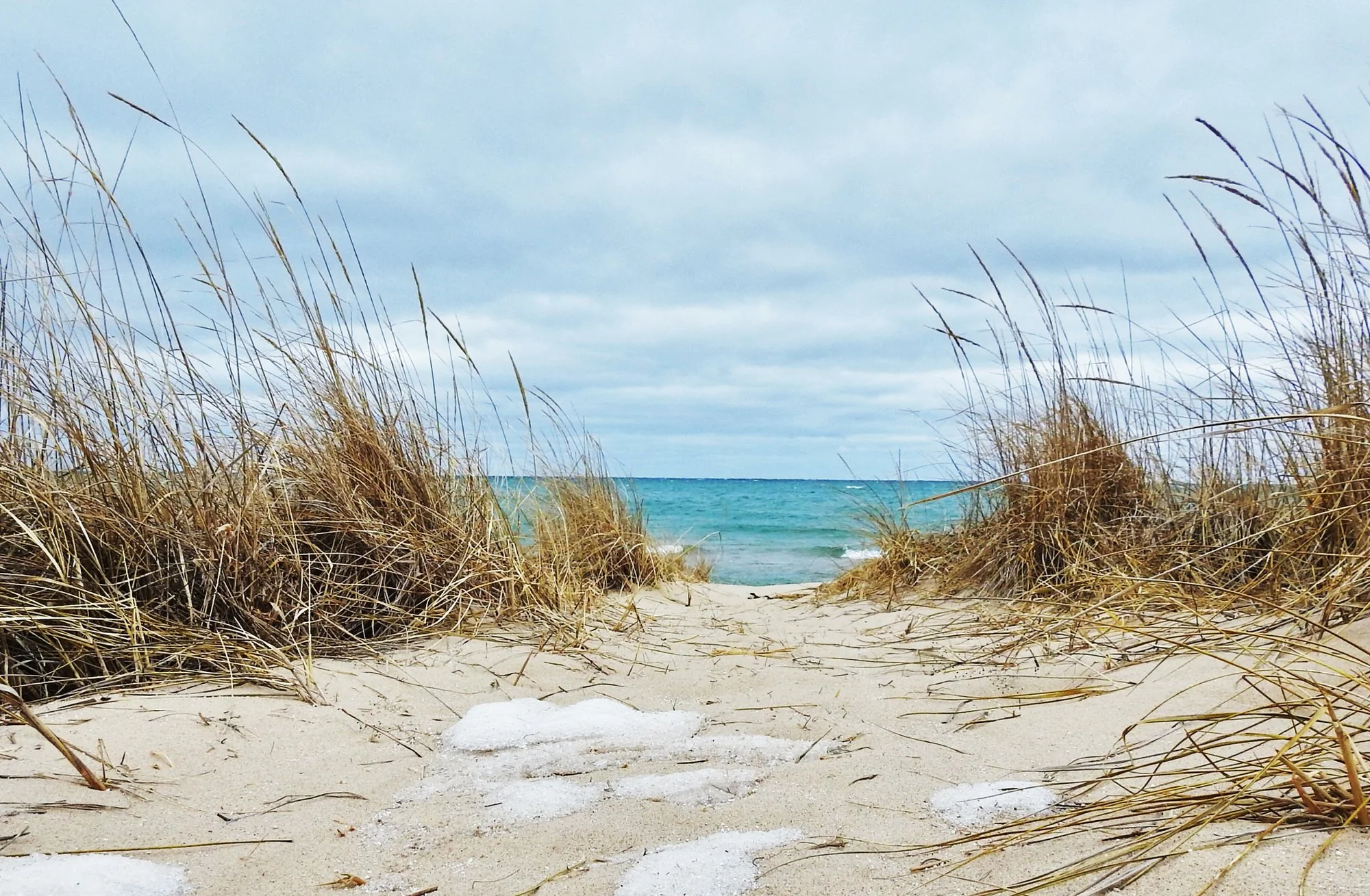 The Wooden Gallery Traverse City Gallery