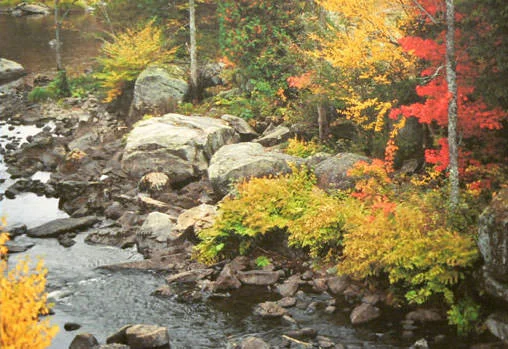 039 Landscape John Ulmanis-1.jpg