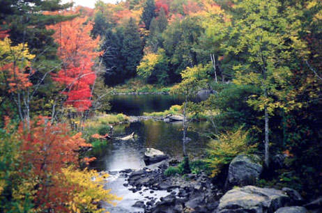 042 Landscape John Ulmanis-1.jpg