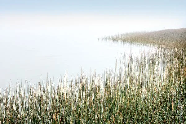 CI 3362 Landscape -1.jpg