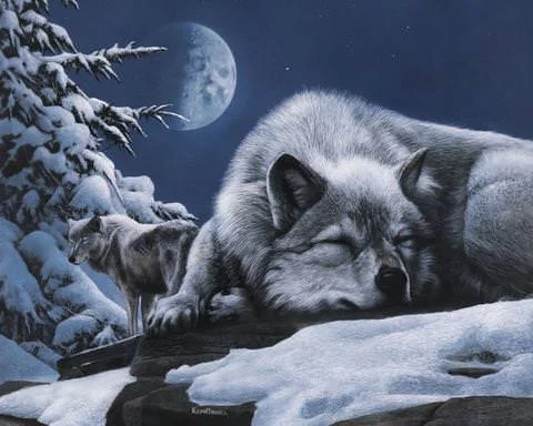 2567GM Wolf and moon-1.jpg