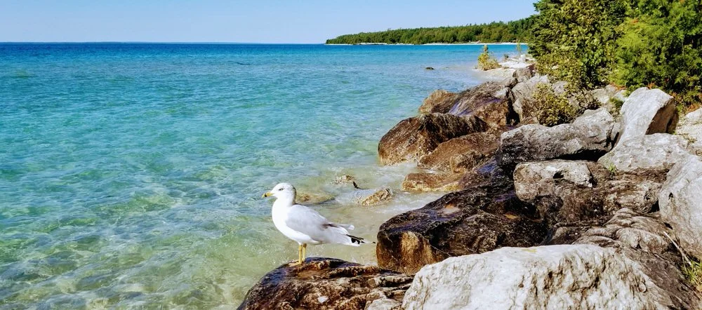 111 Mackinaw Island Linda Pelger-1.jpg
