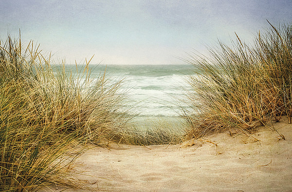 CI984 Beach-1.jpg