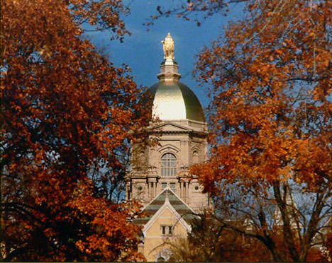 gold-dome-1.jpg