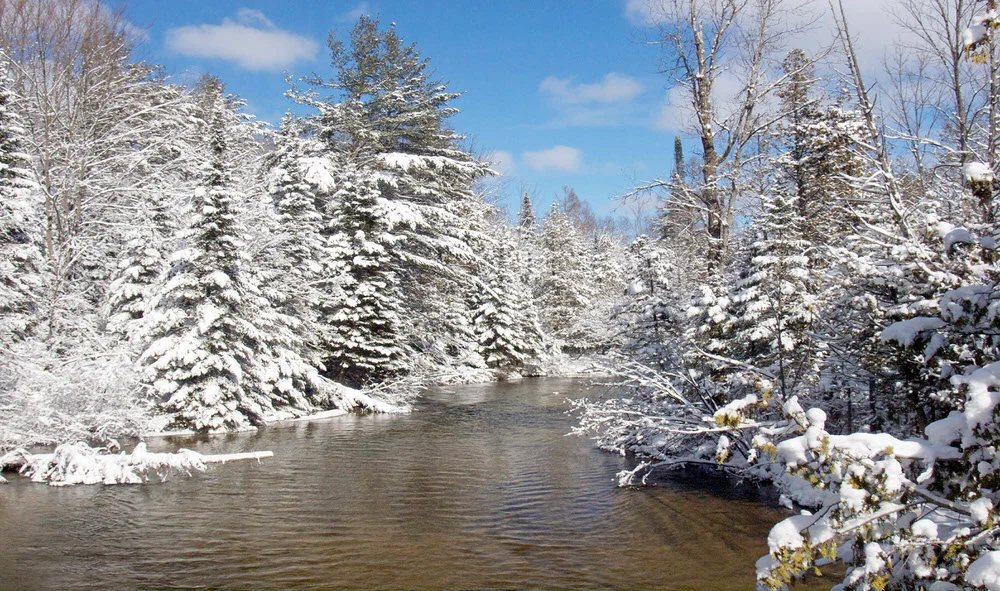 305 Winter Scenery Steve Tavener-1.jpg