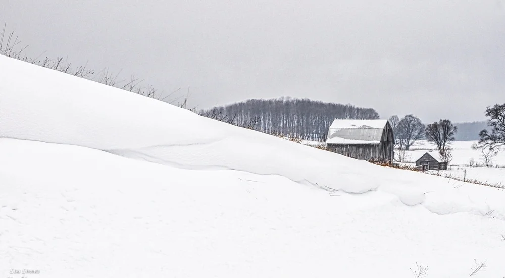 311 Winter Scenery Lisa Lirones-1.jpg