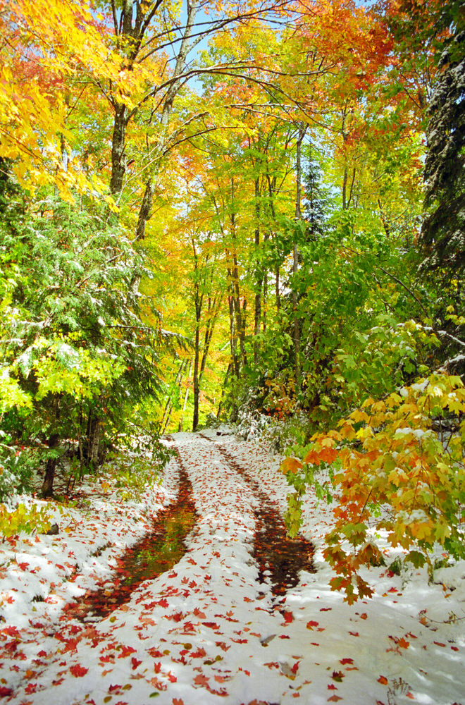 311 Winter Scenery Nancy May-1.jpg