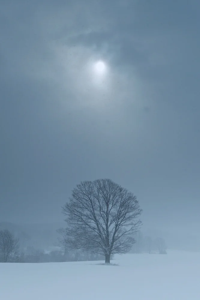 314 Winter Scenery Steve Tavener-1.jpg