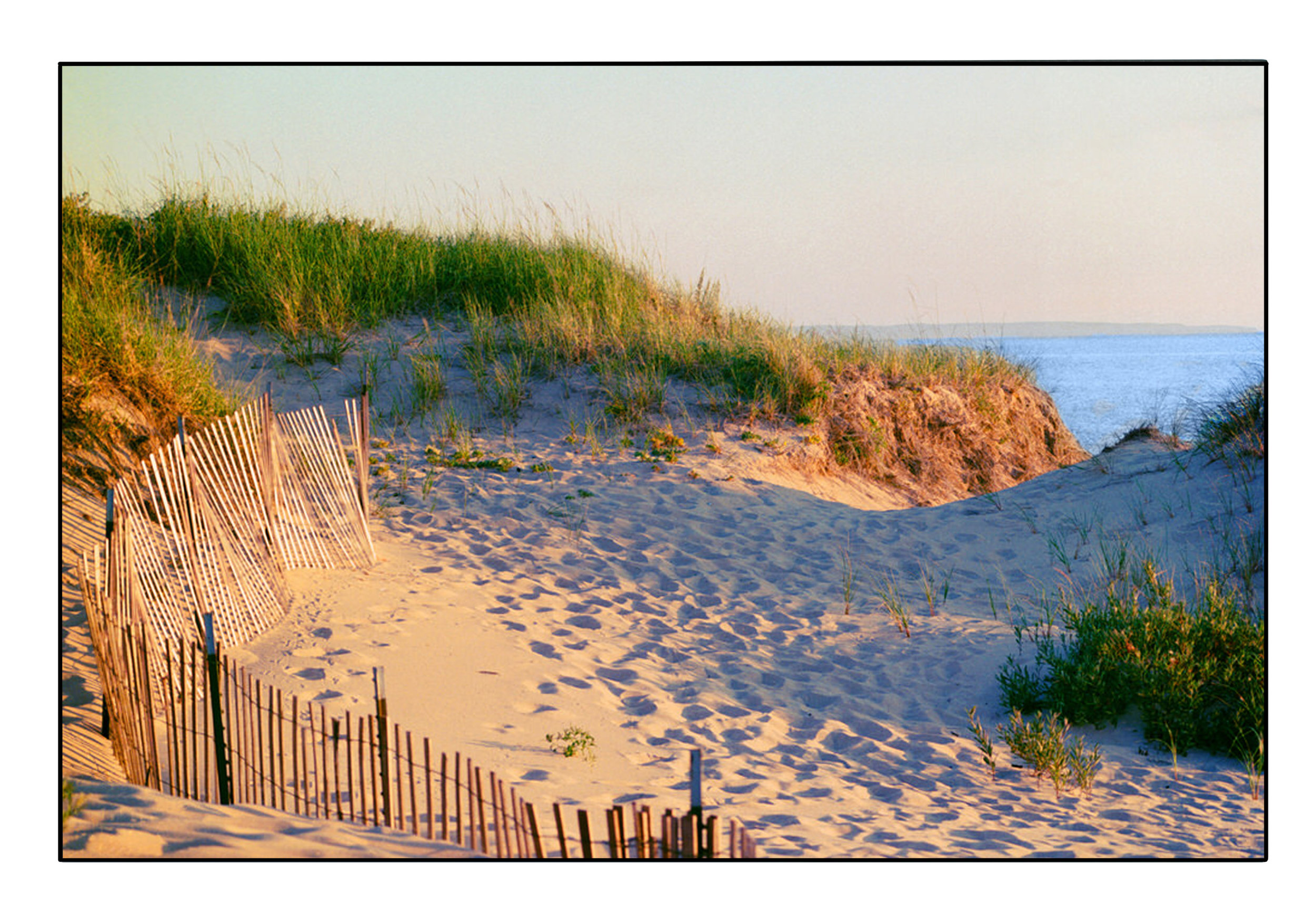 The Wooden Gallery Traverse City Gallery