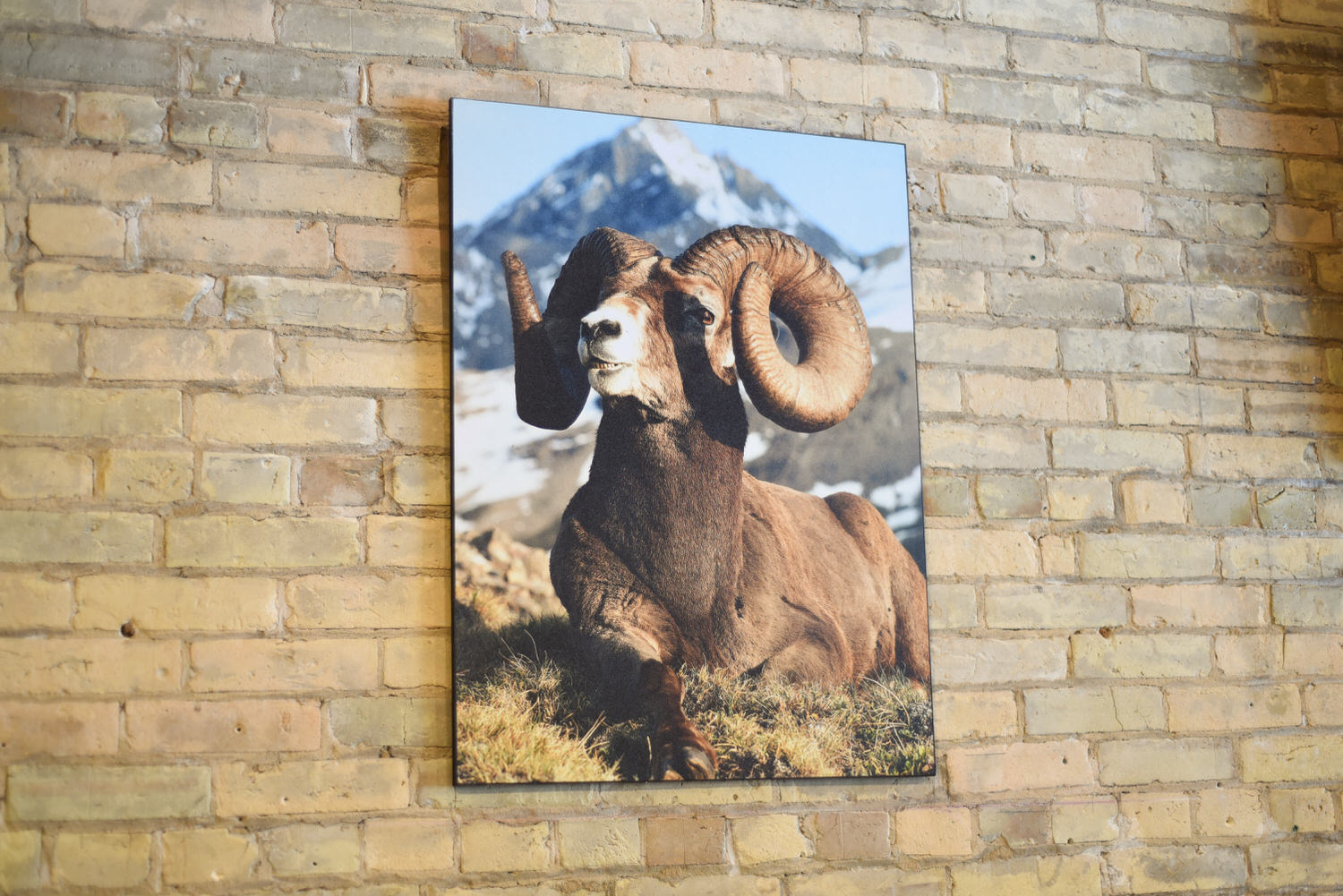 Commercial Gallery Orders — The Wooden Gallery Traverse City Gallery