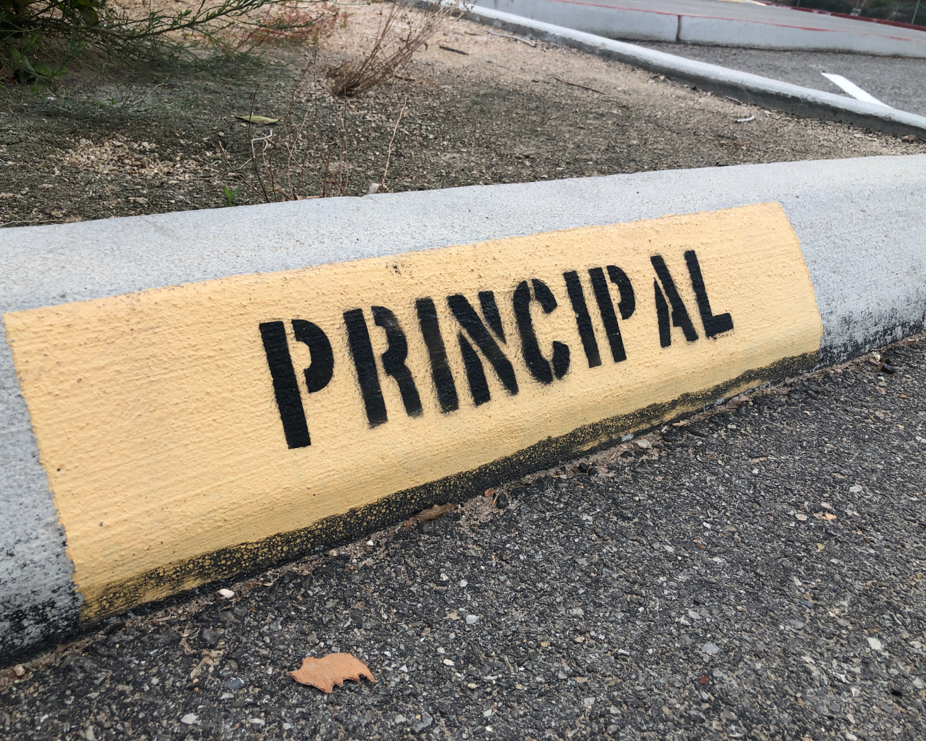 Principals Matter, Big Time!