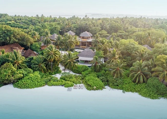 Weekly Wishlist, Edition 4