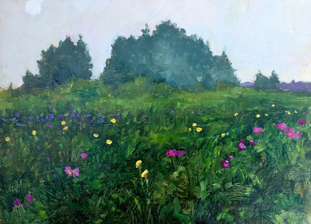 Fog on Lobster Cove Meadow_from website.jpeg