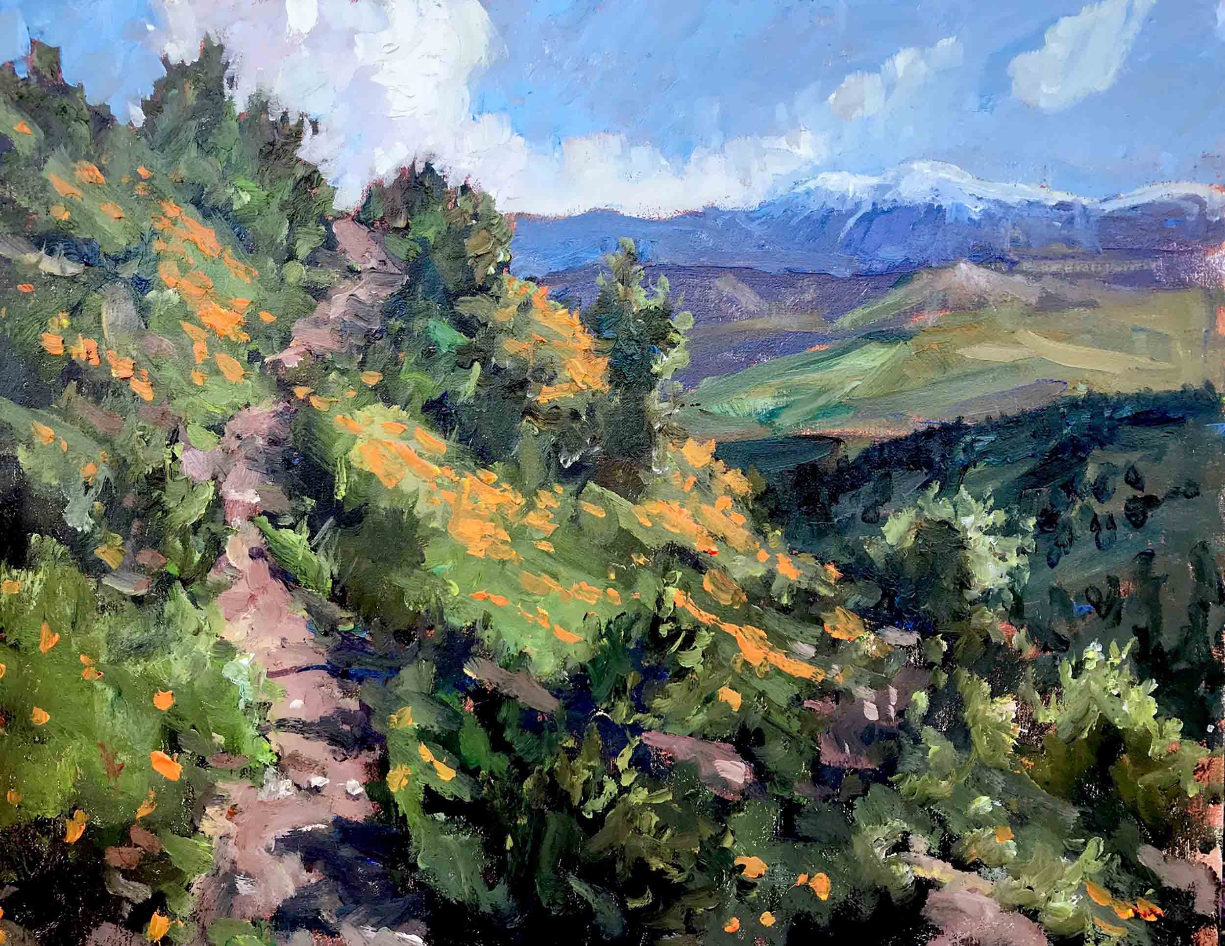 Poppies on Dripping Spring Trail, 11x14 en plein air oil painting by Brad Betts