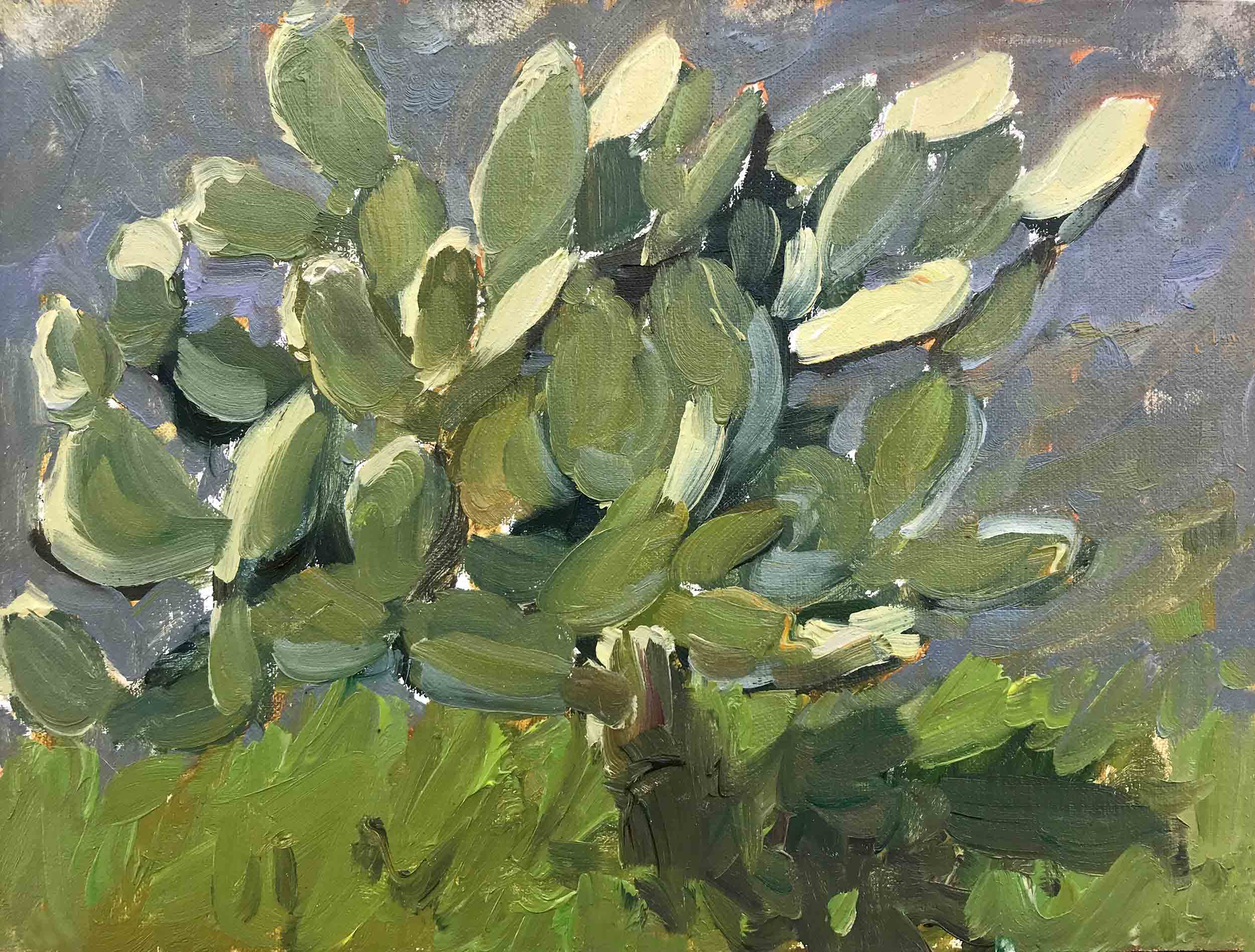 Cactus, 6x8 oil painting by Brad Betts. This was a fun study as four artists painted this cactus at the same time, resulting in four unique paintings of one subject in varying and diverse styles.