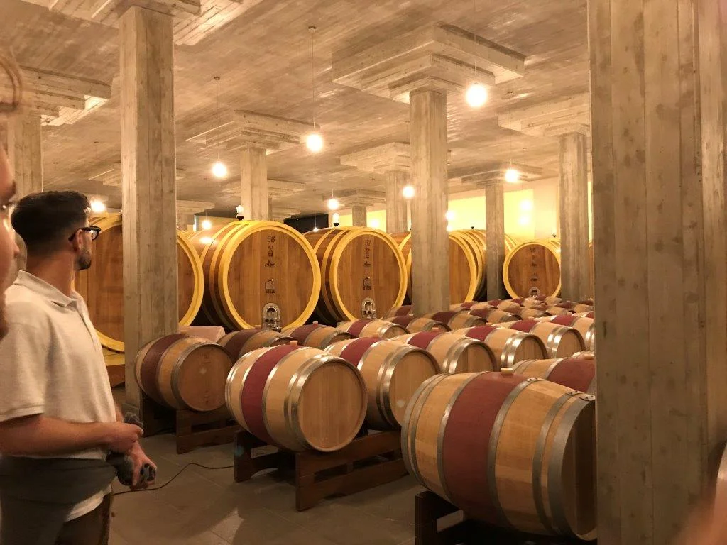 Oak barrels at the vineyard.