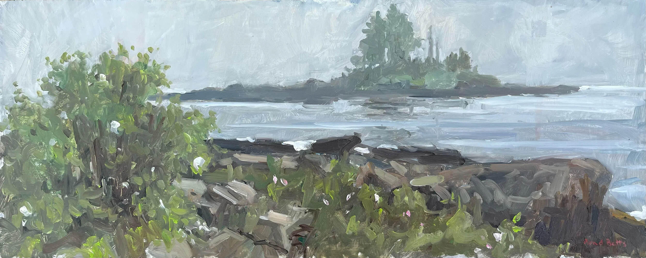 A5F43A17-B148-44E8-B3F0-C178F794716F