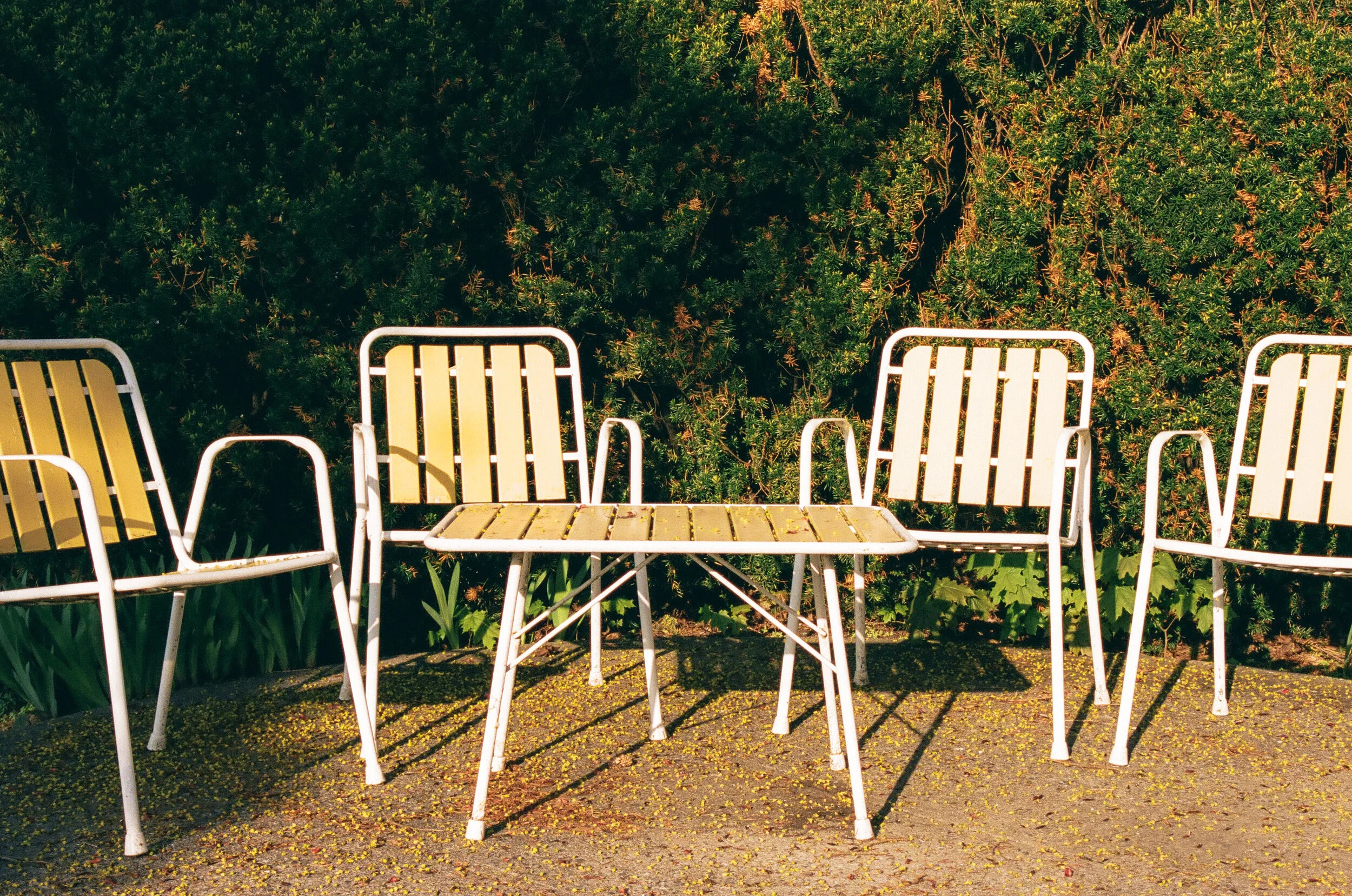 LÉRY2_12X18 (1 of 1).jpg