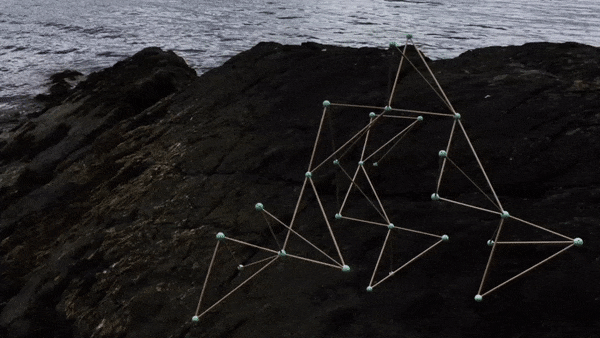 Conor McNally Artist-Bird Sculpture 2.gif